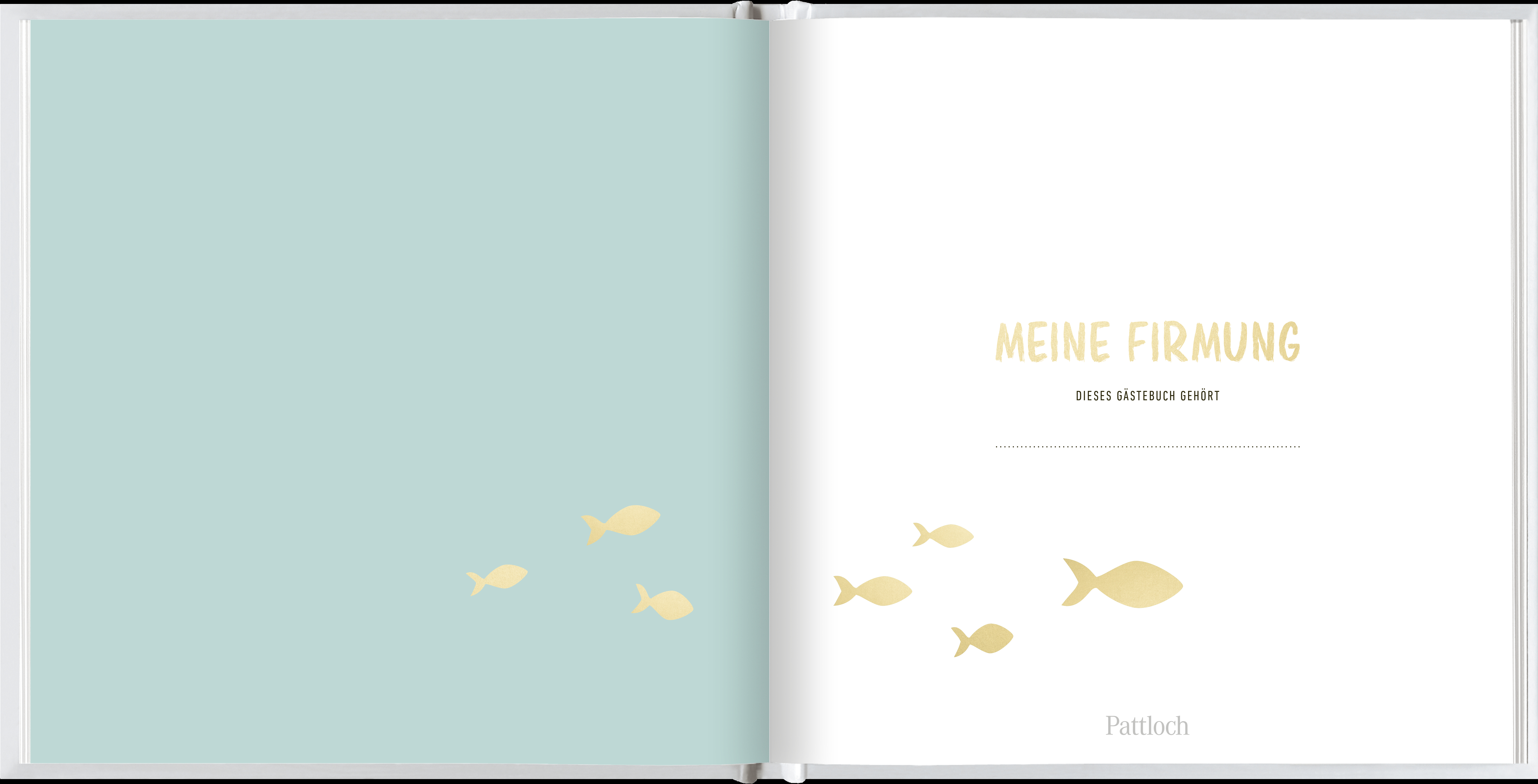 4260308343667_innenansicht_01.jpg 4260308343667_innenansicht_01.jpg