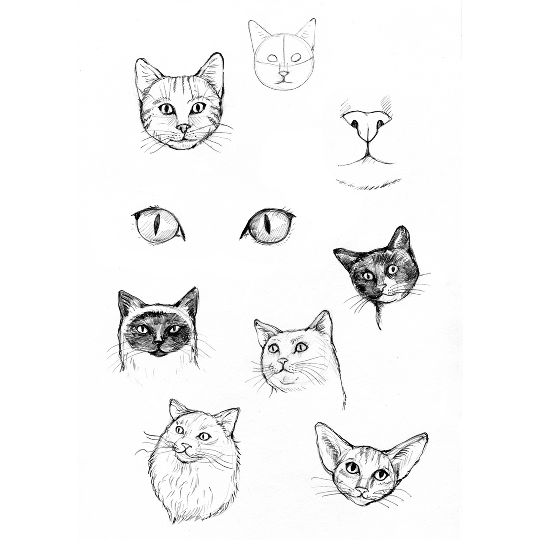 9783735881175_innenansicht_04 9783735881175_innenansicht_04.jpg