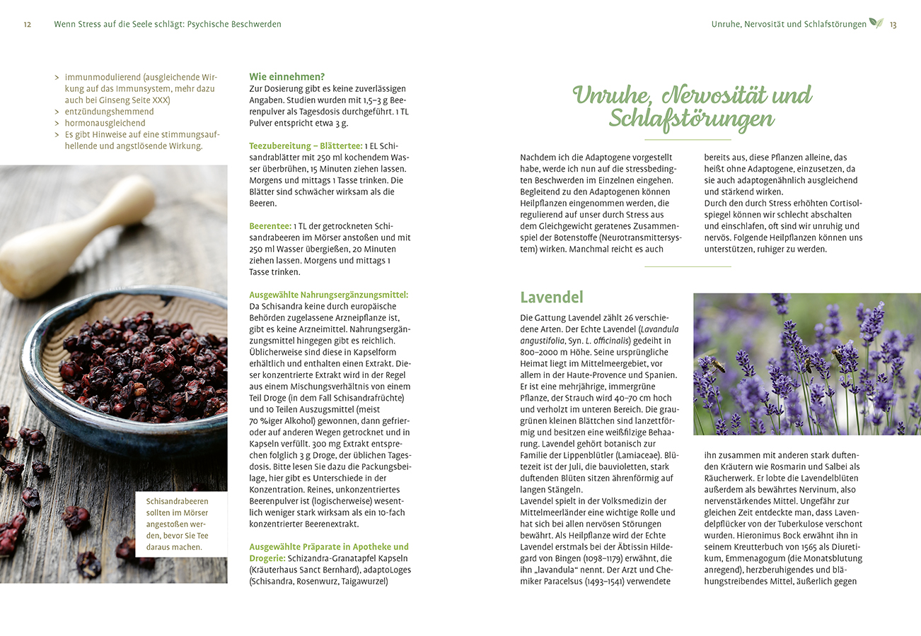 9783818623555_innenansicht_04 9783818623555_innenansicht_04.jpg