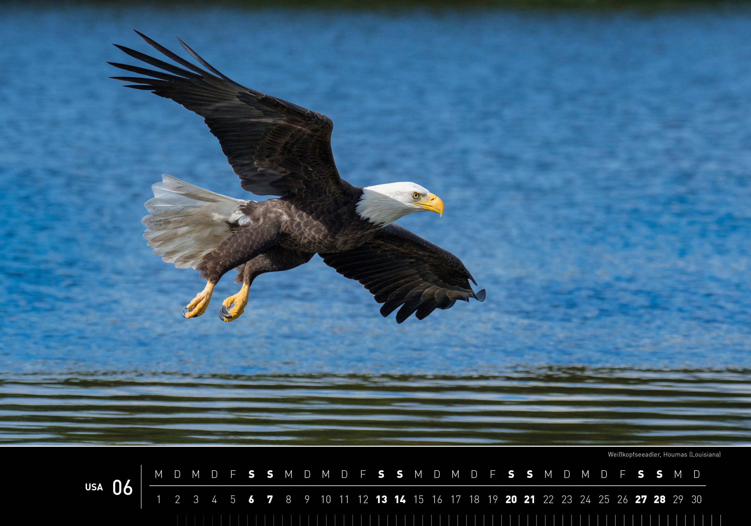 9783968556352_innenansicht_06 9783968556352_innenansicht_06.jpg