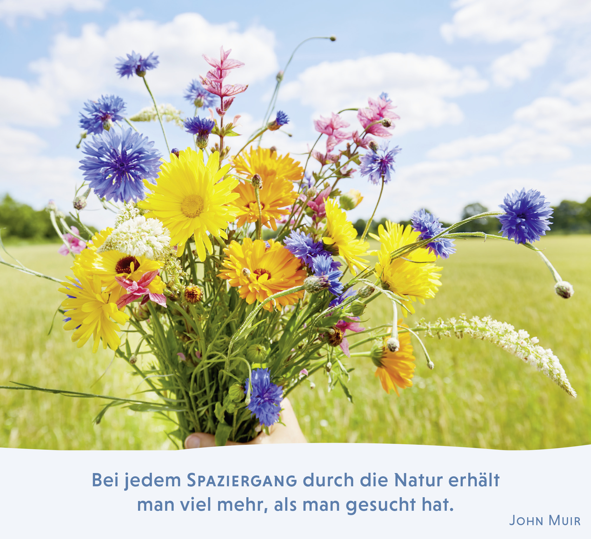 9783848502158_innenansicht_03.jpg