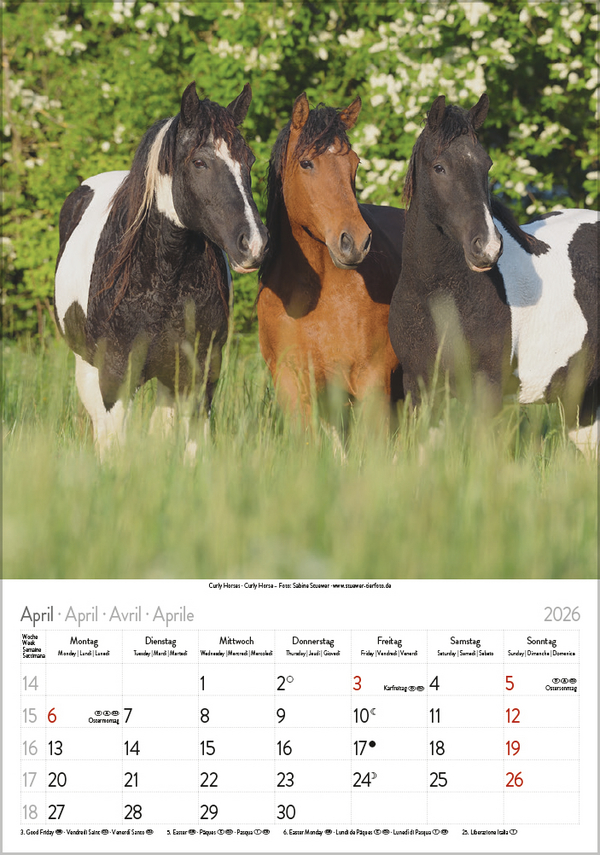 9783731883623_innenansicht_04 9783731883623_innenansicht_04.jpg