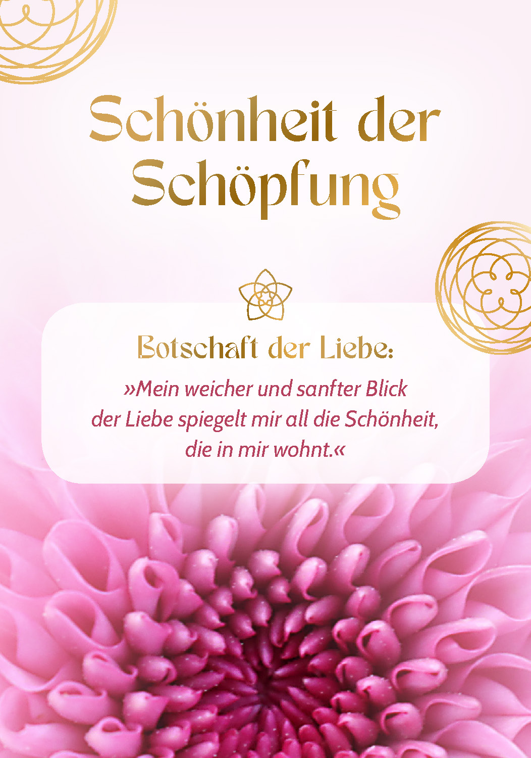 9783843492614_innenansicht_01.jpg