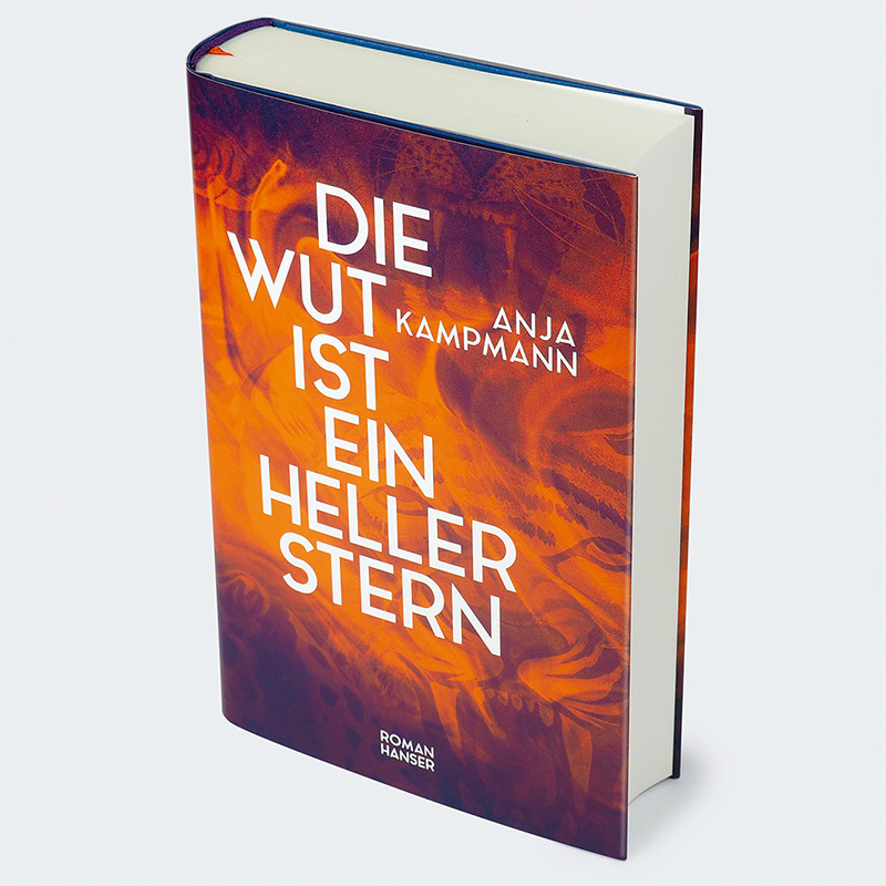 9783446281202_innenansicht_01.jpg