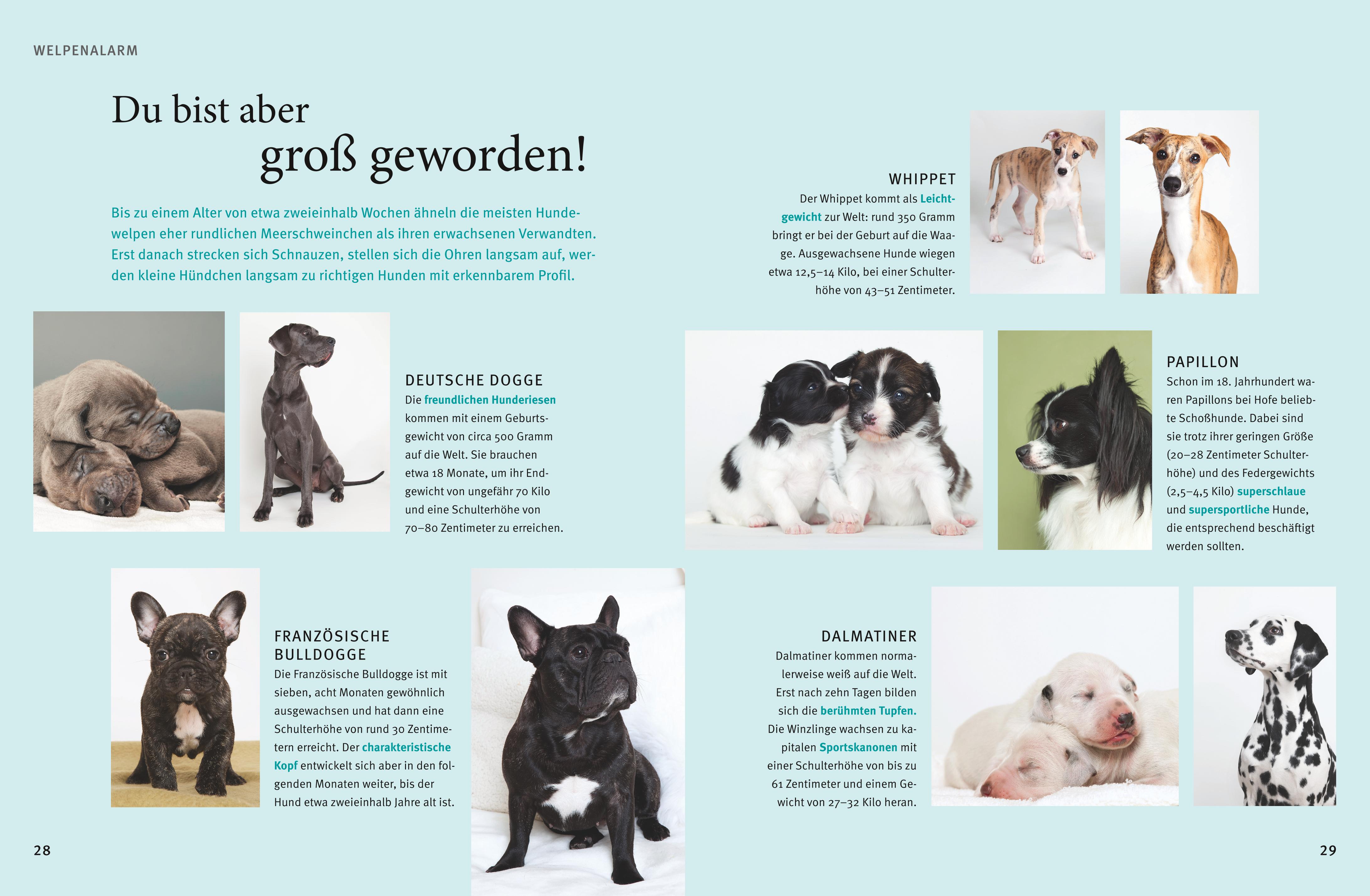 9783833857249_innenansicht_04 9783833857249_innenansicht_04.jpg