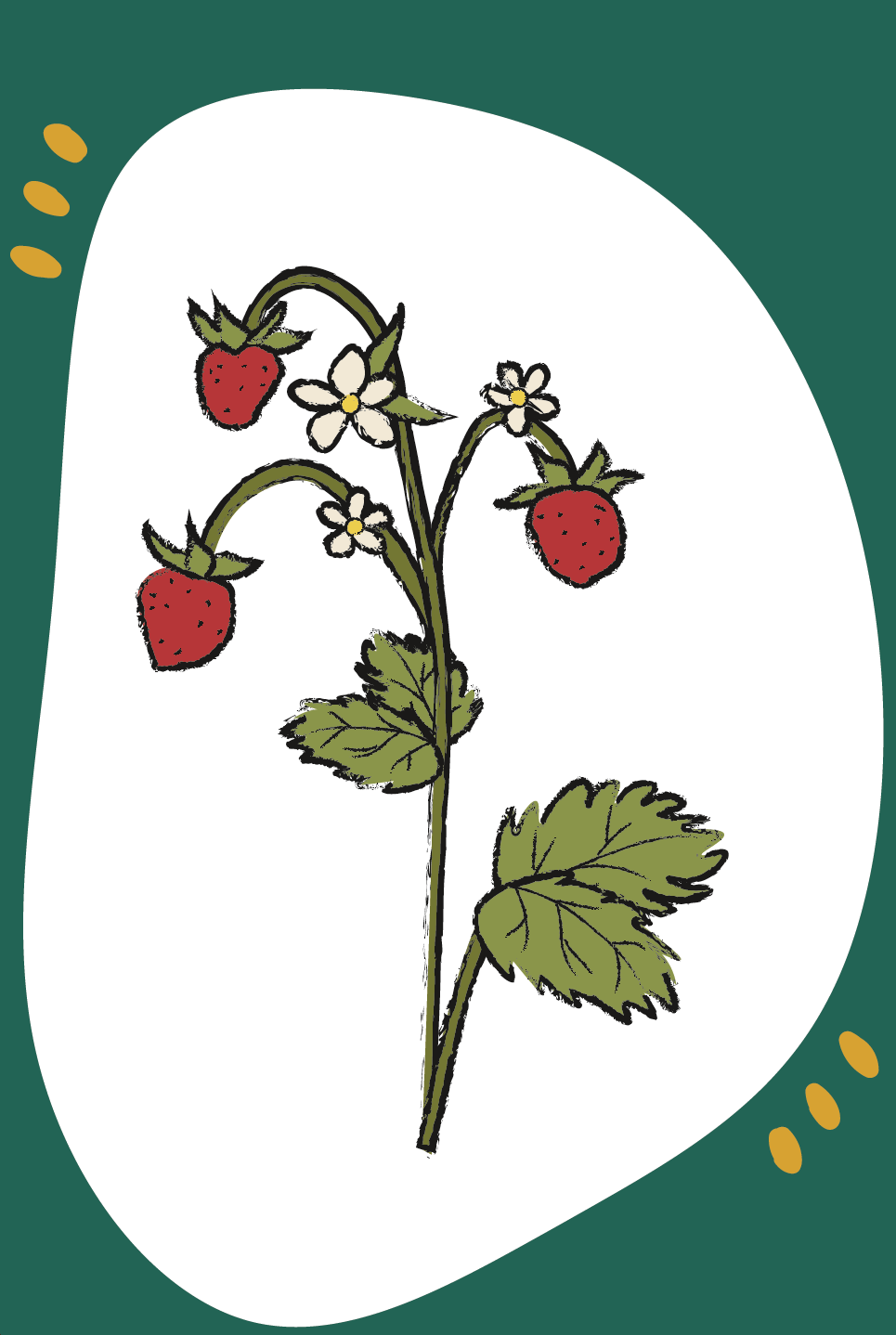 9783960463580_innenansicht_03.png