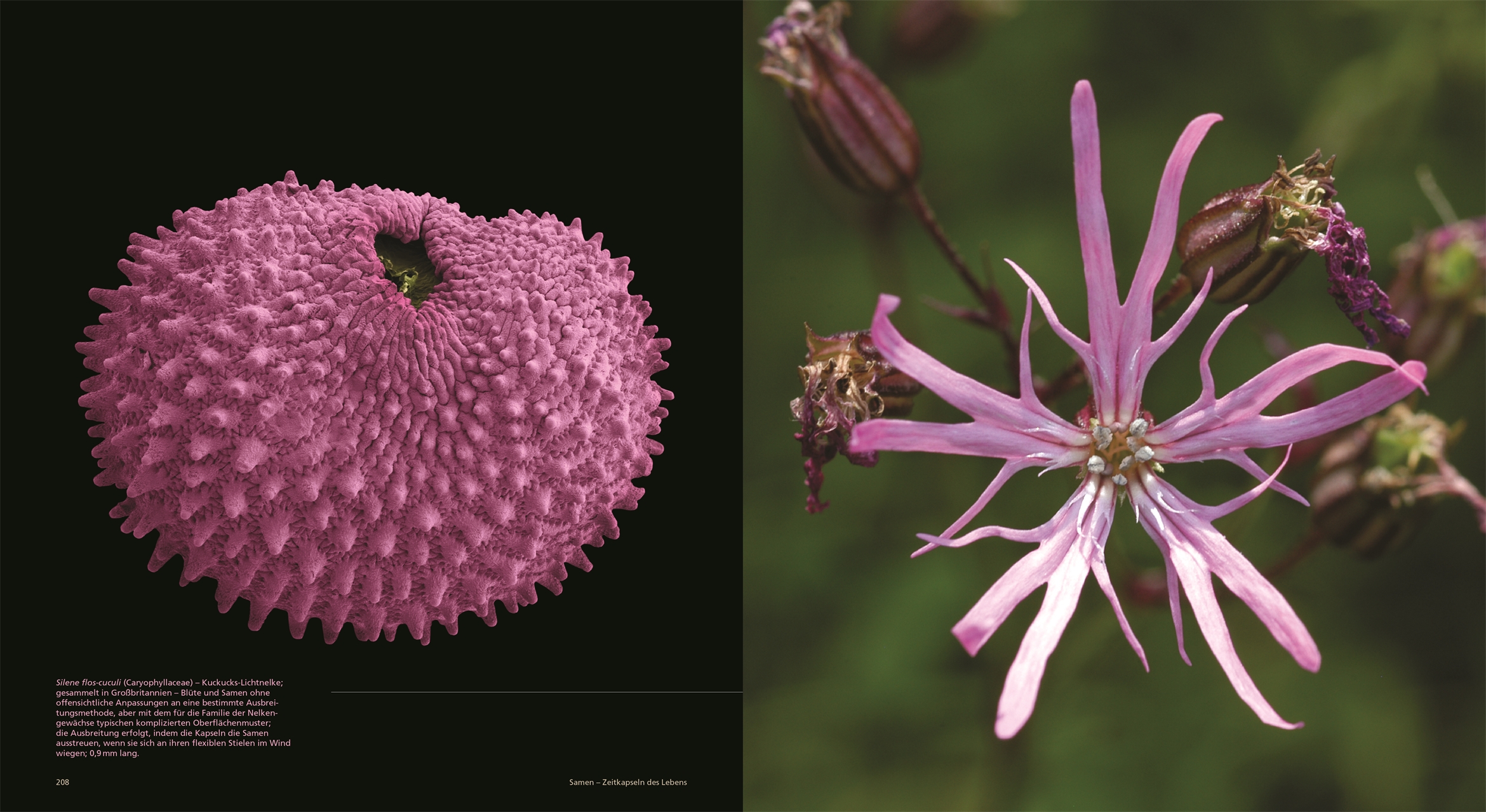 9783831049974_innenansicht_07 9783831049974_innenansicht_07.jpg