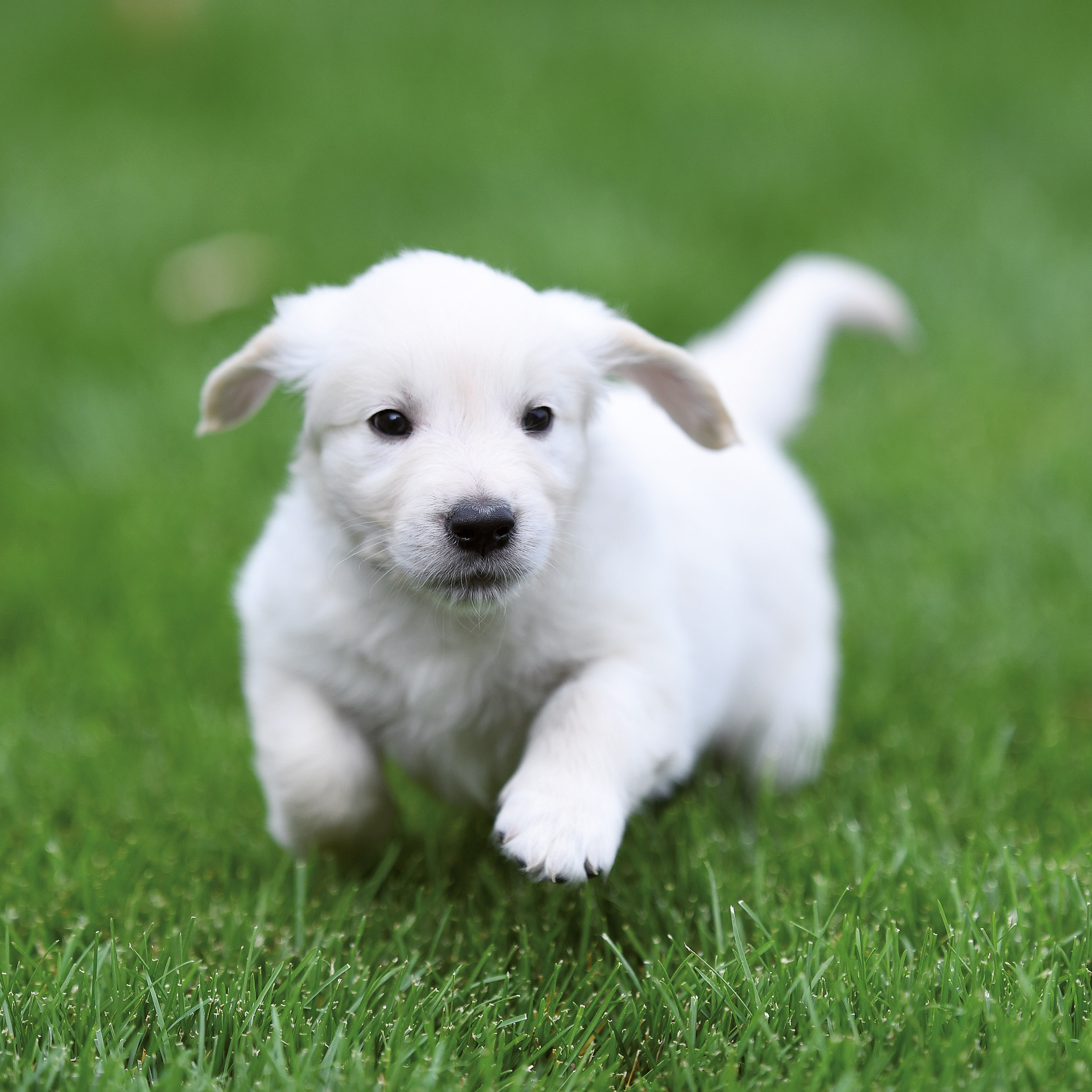 9783959295888_innenansicht_09 9783959295888_innenansicht_09.jpg