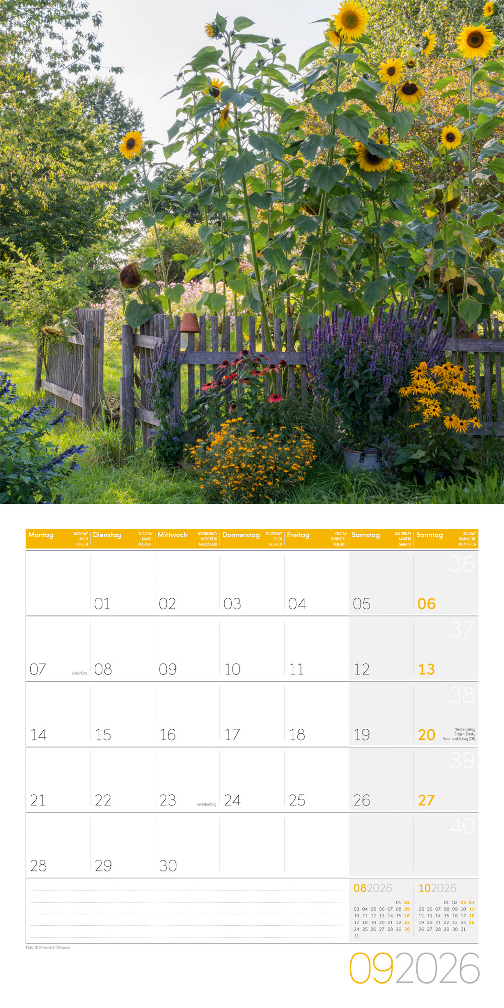 9783838446165_innenansicht_09 9783838446165_innenansicht_09.jpg