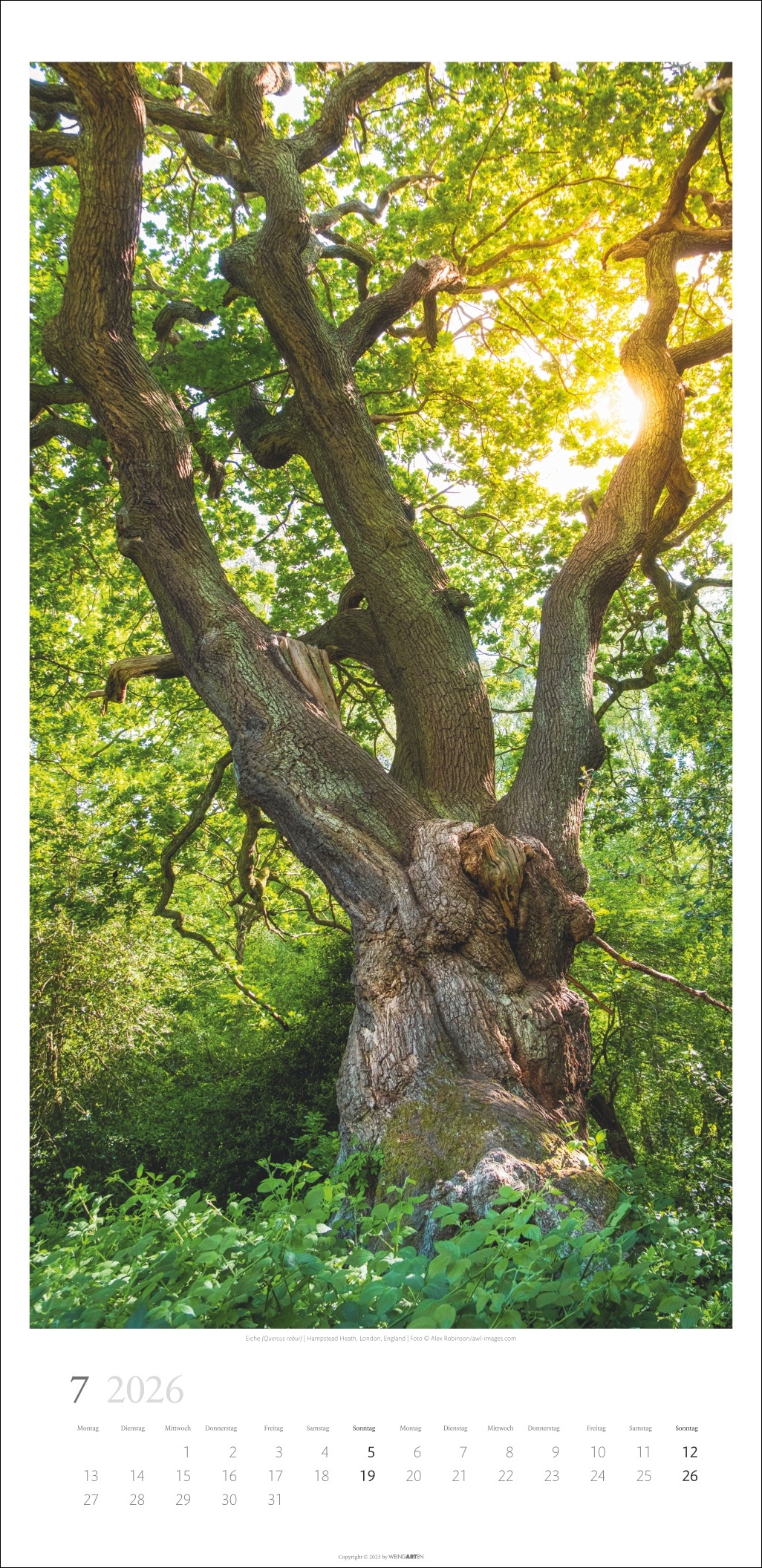 9783839902189_innenansicht_07 9783839902189_innenansicht_07.jpg