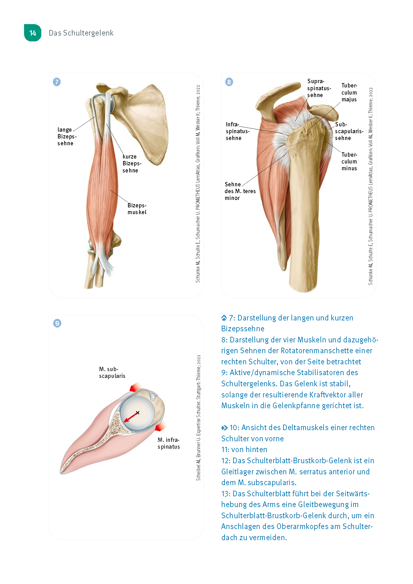 9783432117294_innenansicht_12 9783432117294_innenansicht_12.png