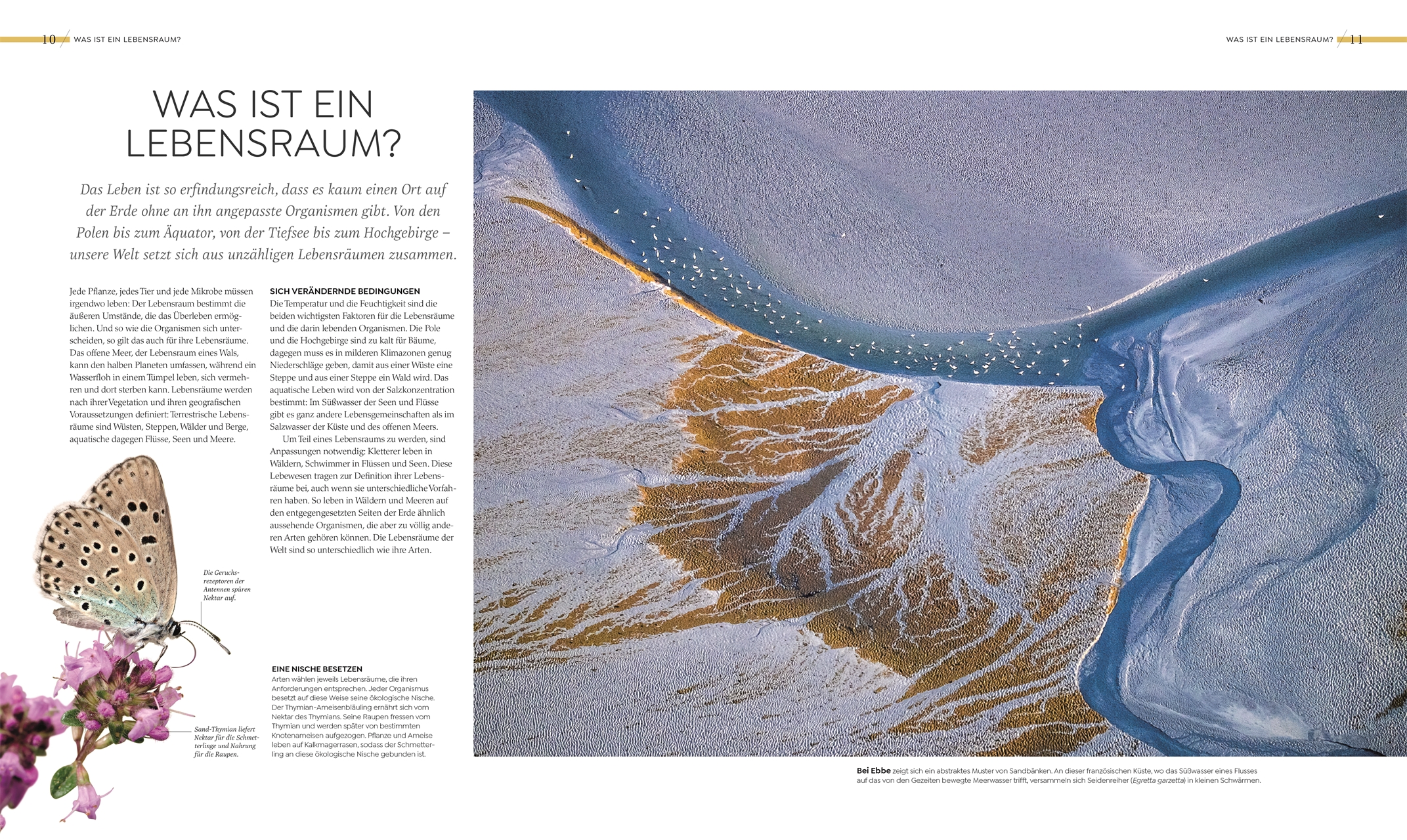 9783831049004_innenansicht_02.jpg