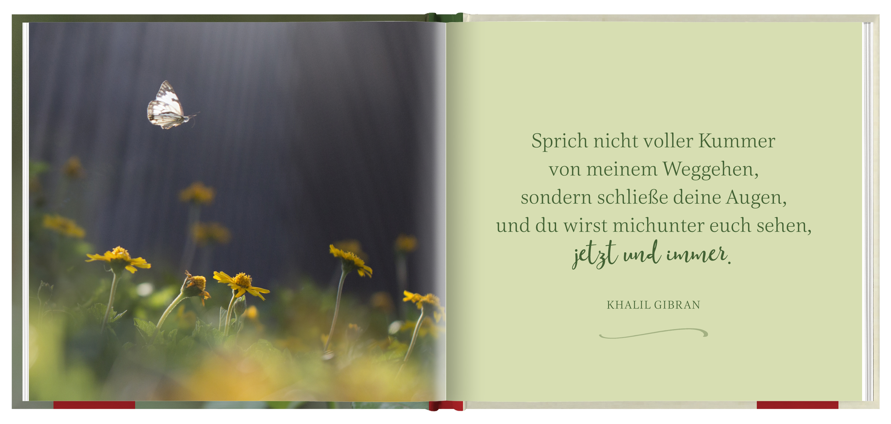 9783848522590_innenansicht_01.jpg