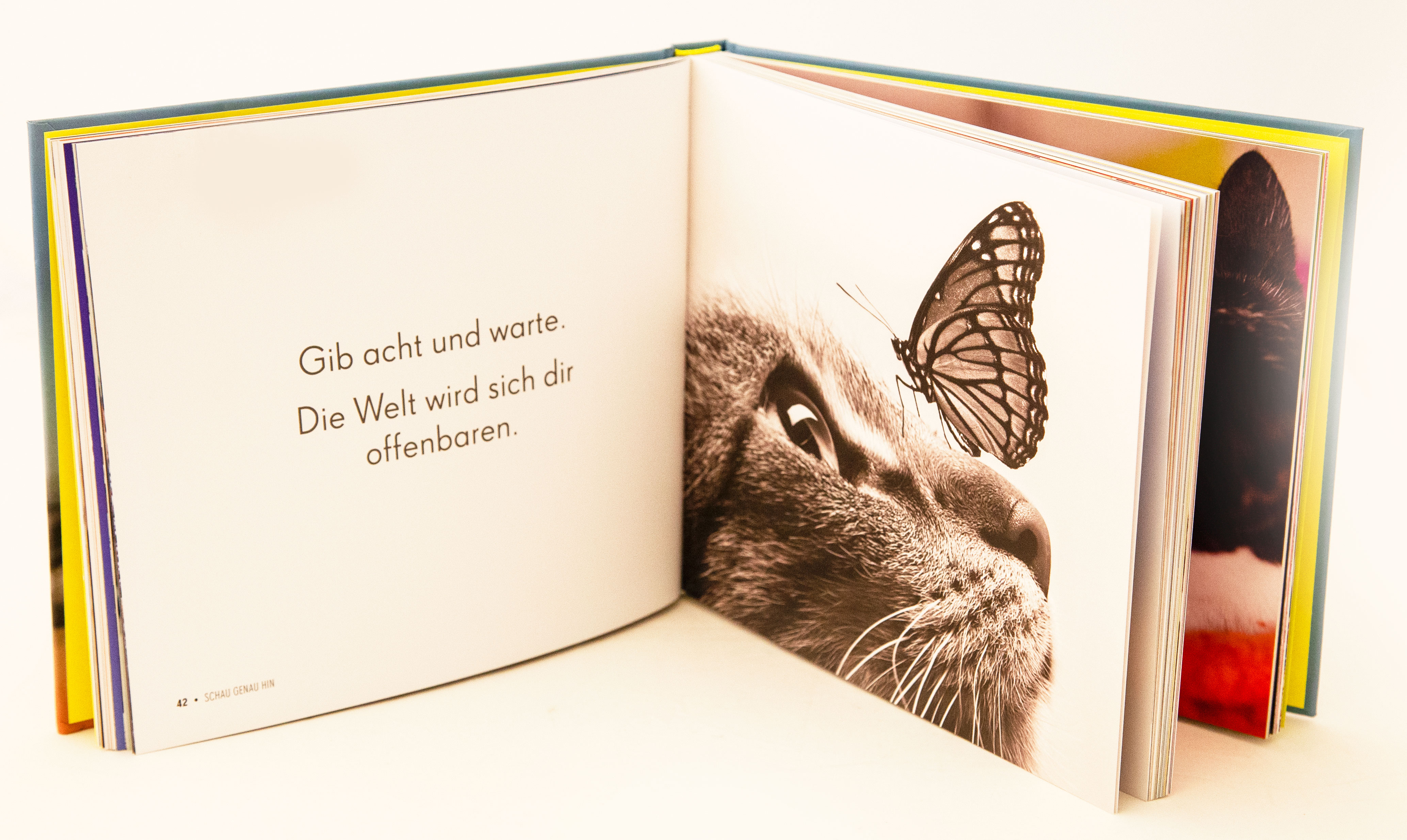 9783431041057_innenansicht_03 9783431041057_innenansicht_03.jpg