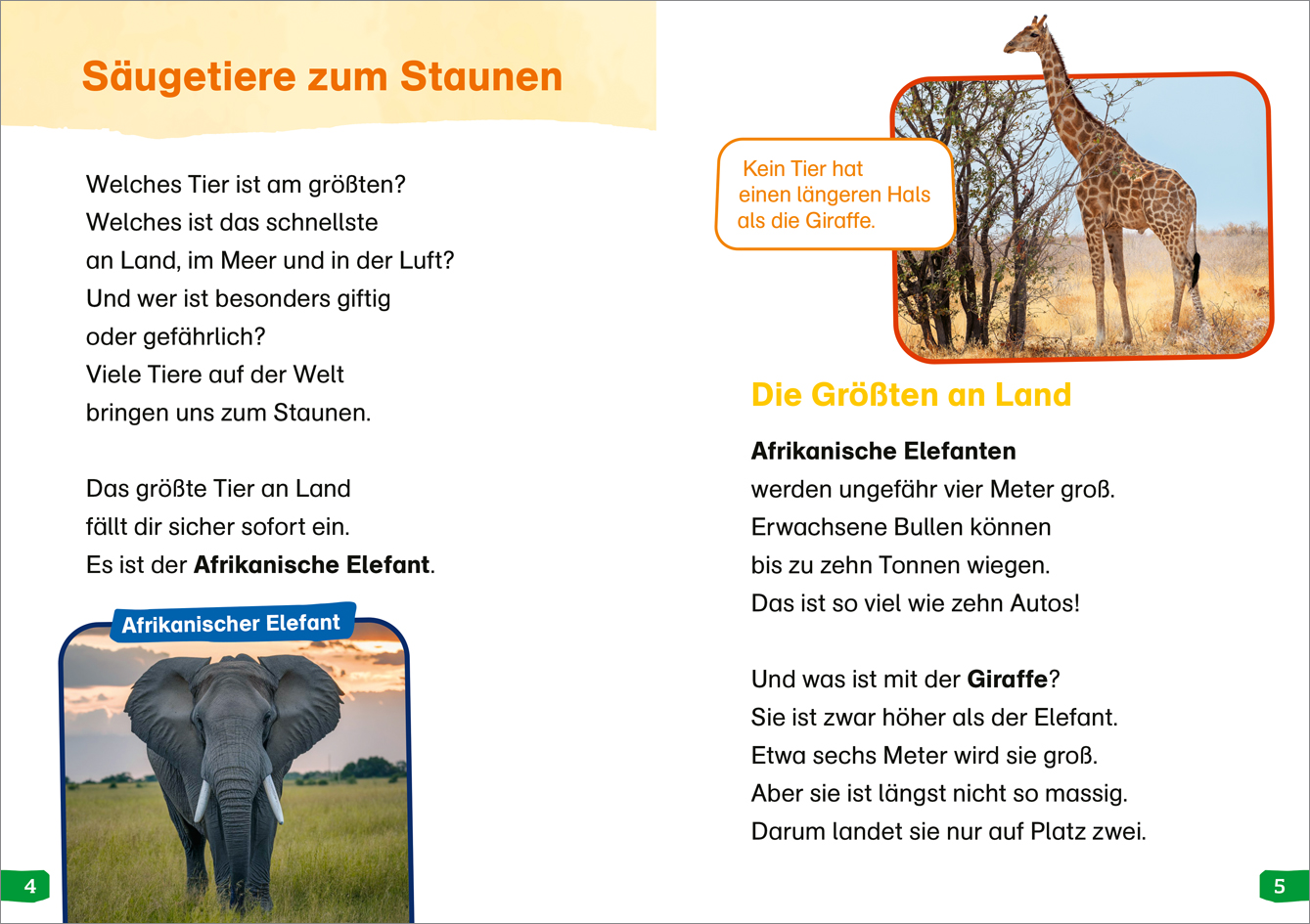 9783788677374_innenansicht_01.jpg