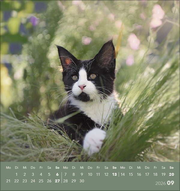 9783731884071_innenansicht_09 9783731884071_innenansicht_09.jpg