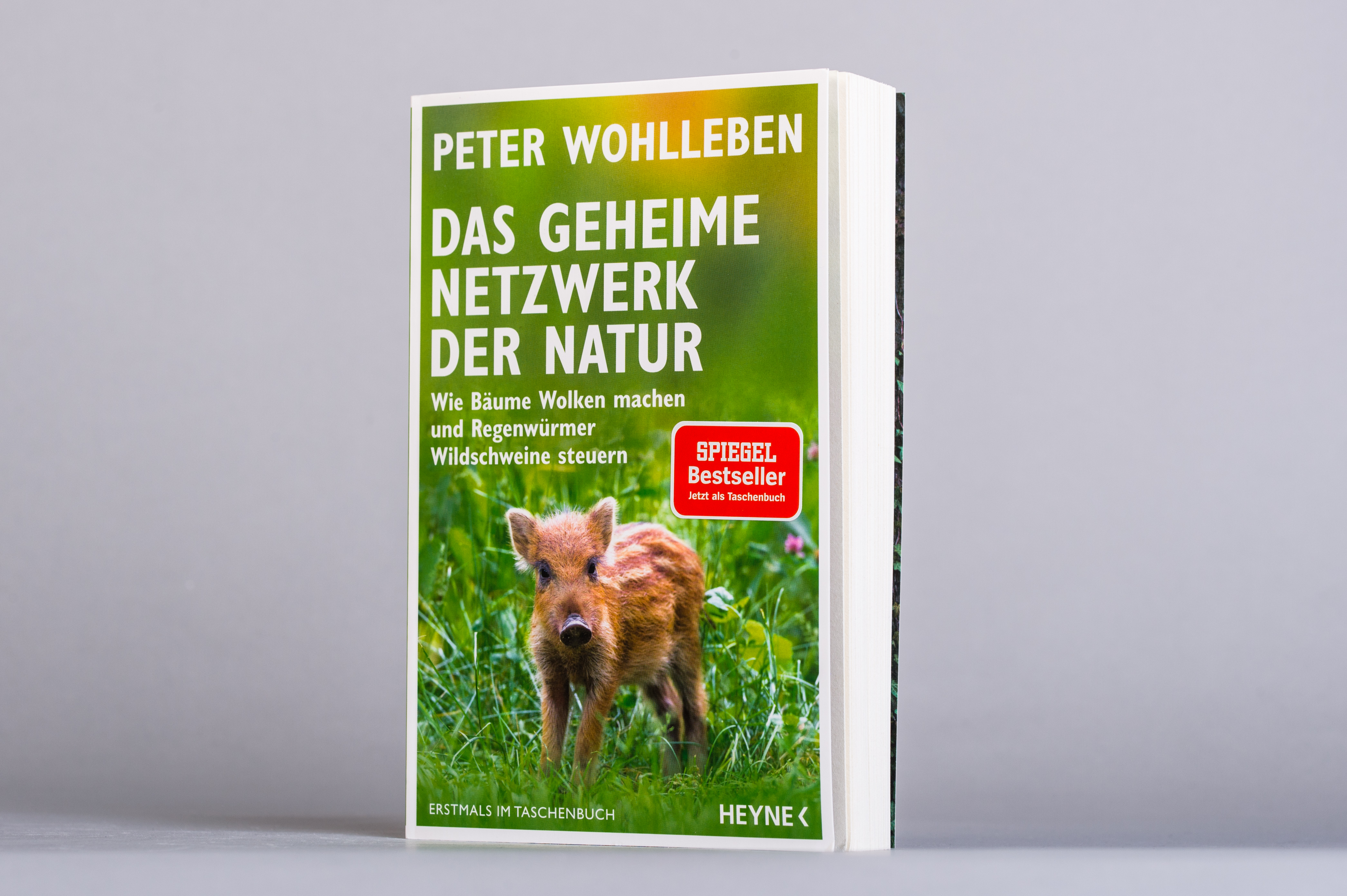 9783453605619_innenansicht_01.jpg