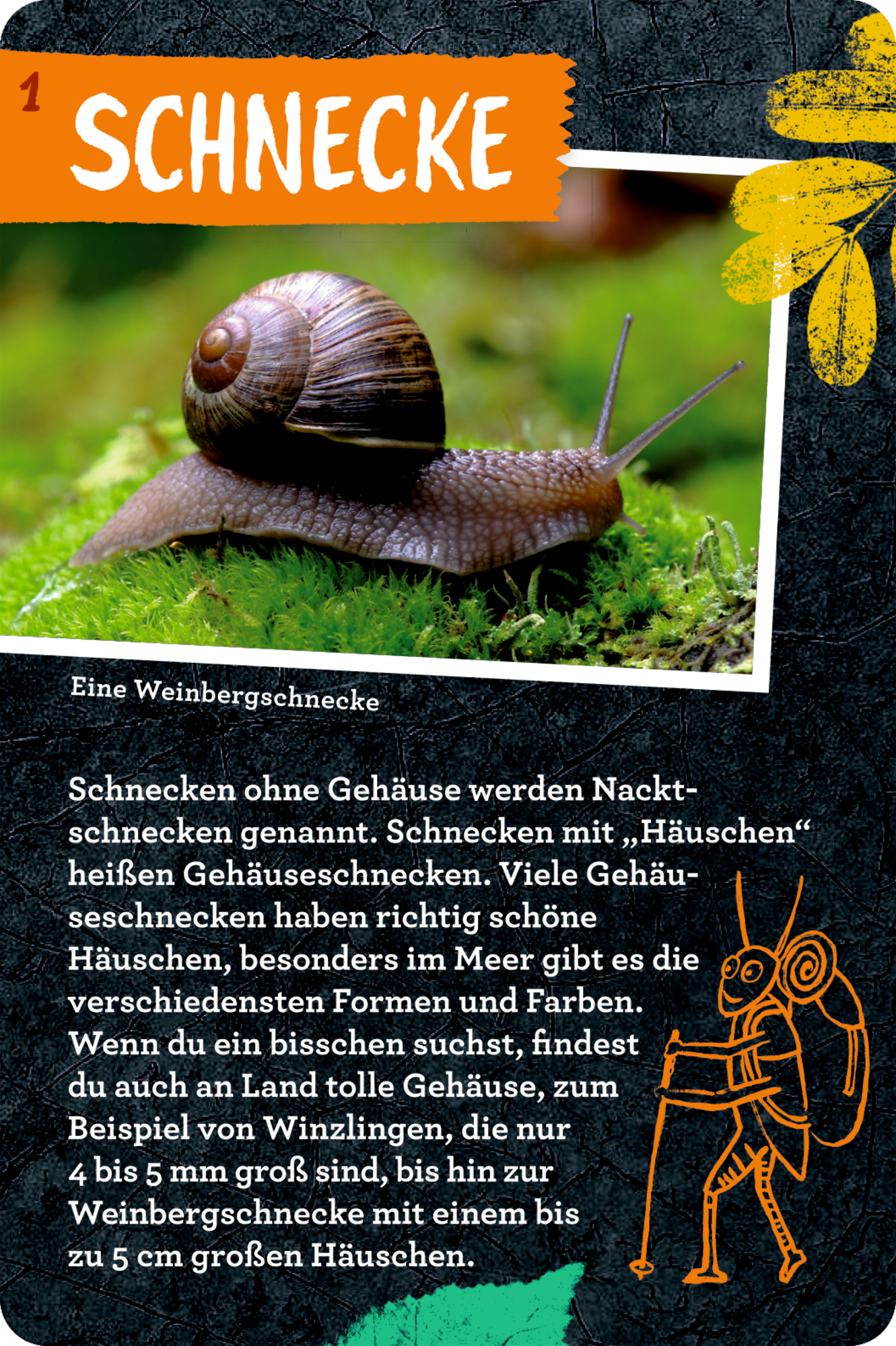 9783649647300_innenansicht_01.jpg