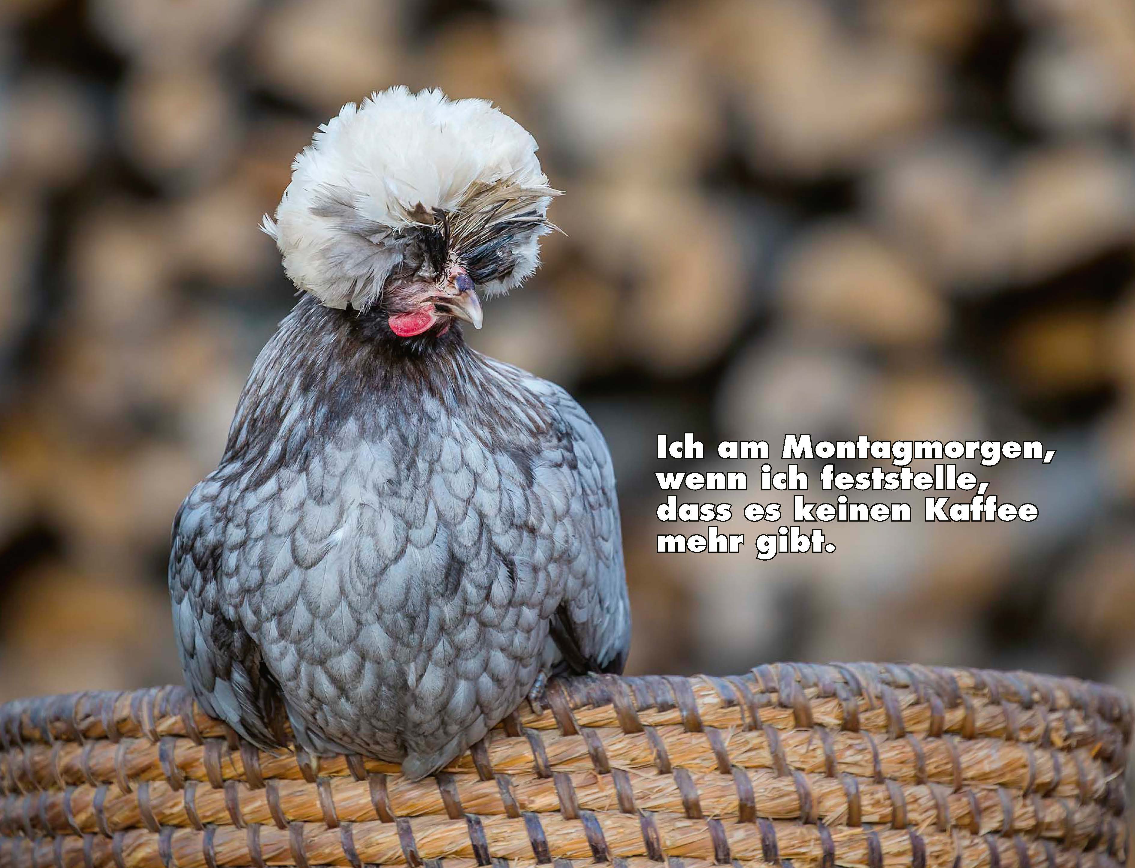 9783966649919_innenansicht_03.jpg