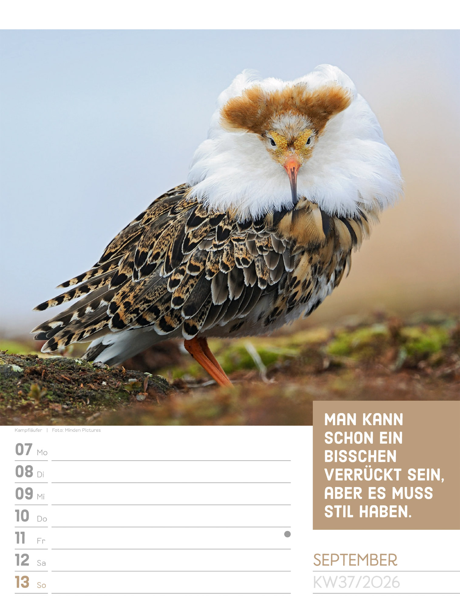 9783838426969_innenansicht_40 9783838426969_innenansicht_40.jpg