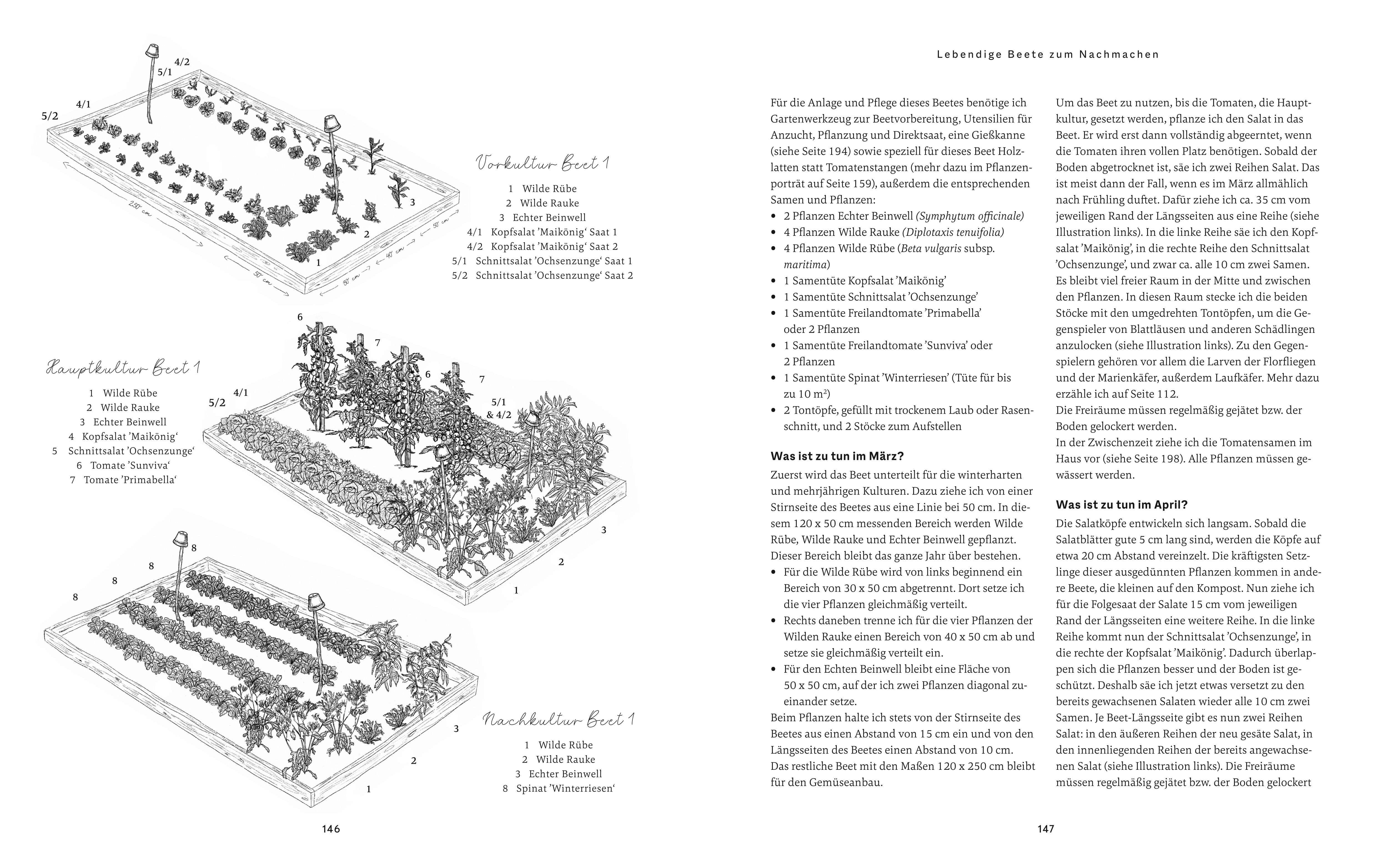 9783833890383_innenansicht_06 9783833890383_innenansicht_06.jpg