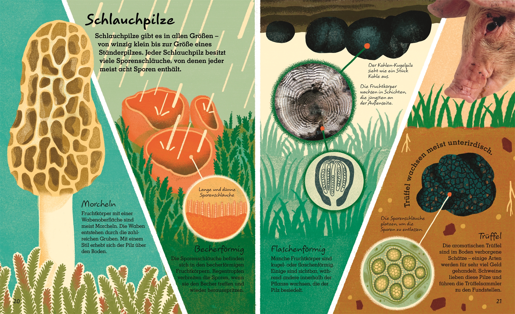 9783831044443_innenansicht_04 9783831044443_innenansicht_04.jpg