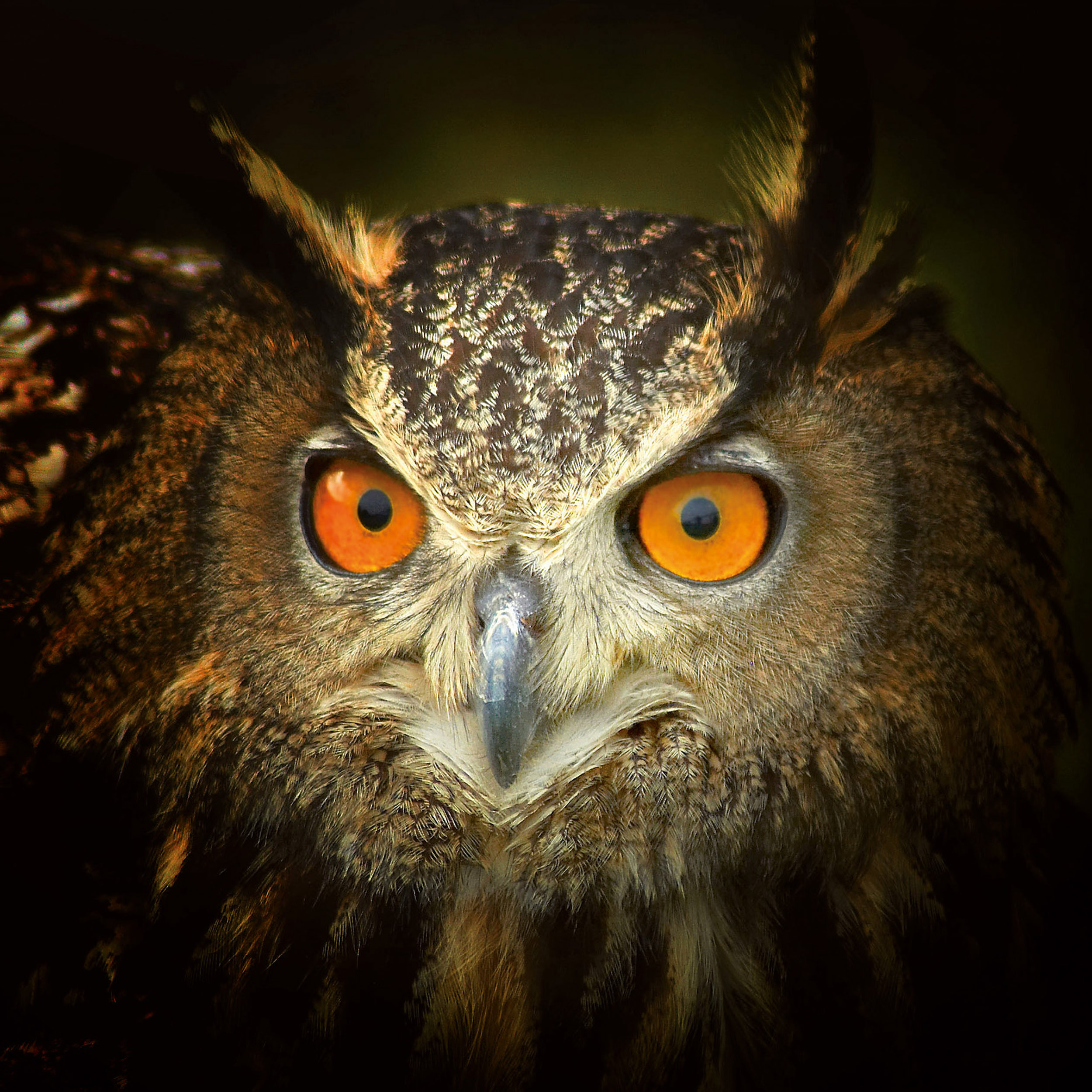 9783959295208_innenansicht_09 9783959295208_innenansicht_09.jpg