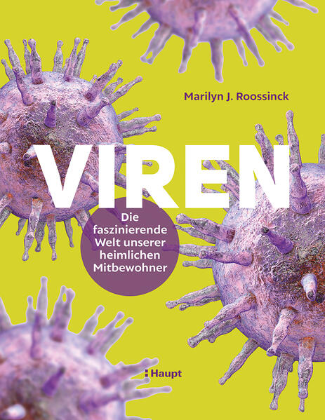 9783258084077 9783258084077