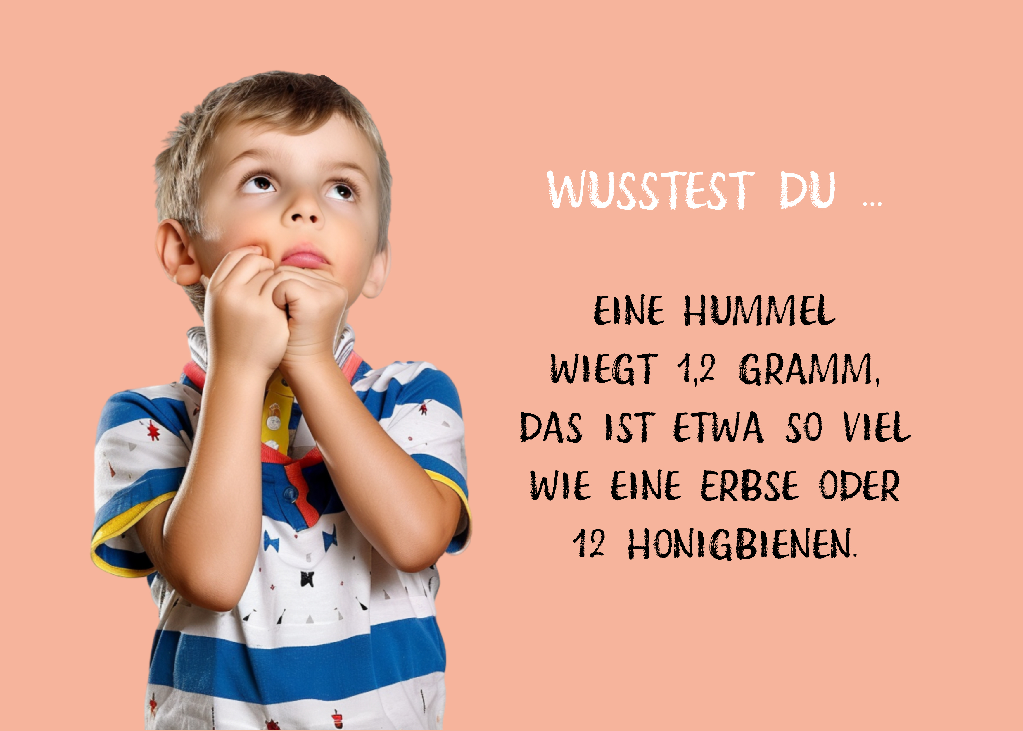 9783989423657_innenansicht_02.jpg