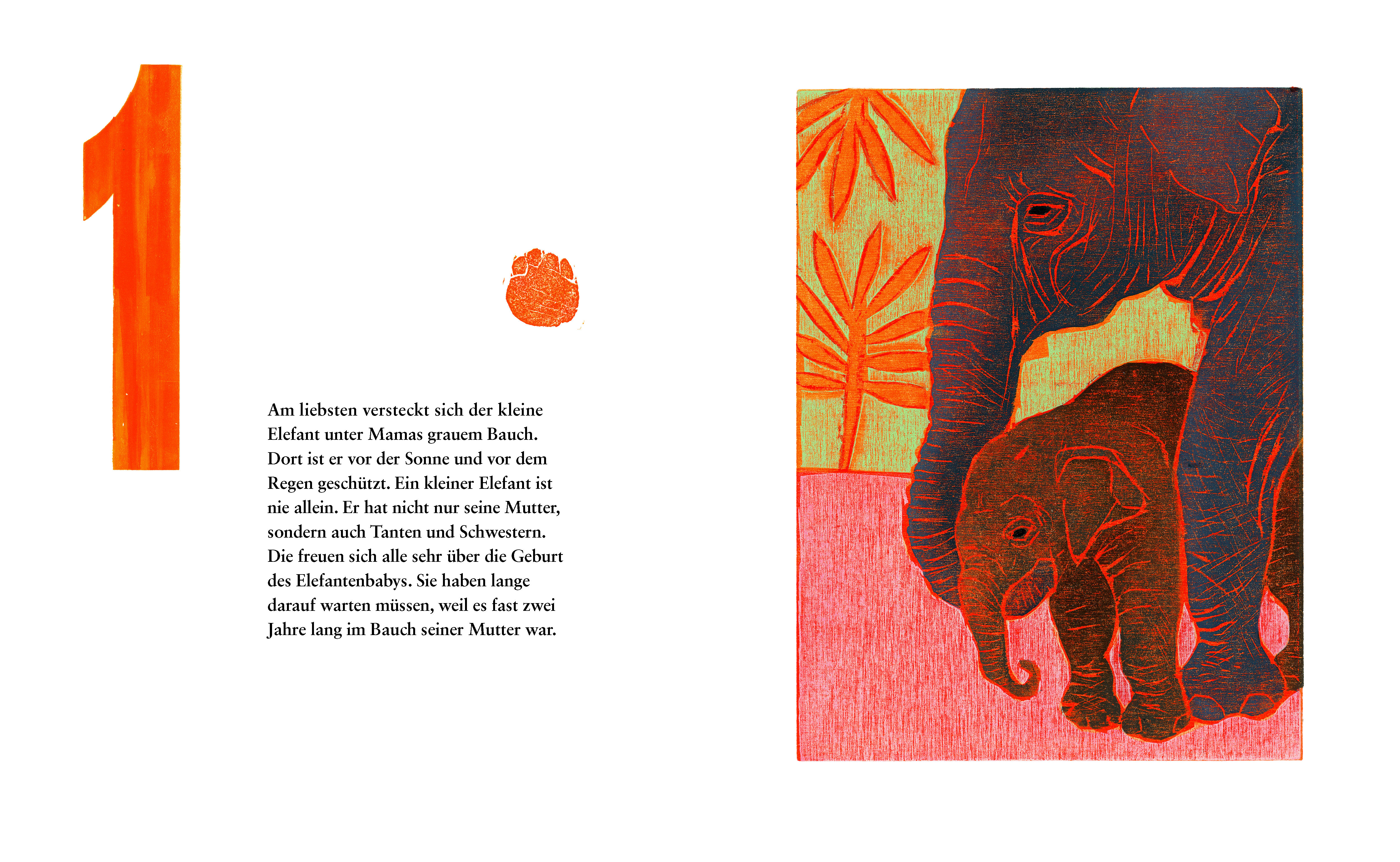 9783905945621_NF_2 9783905945621_NF_2.jpg