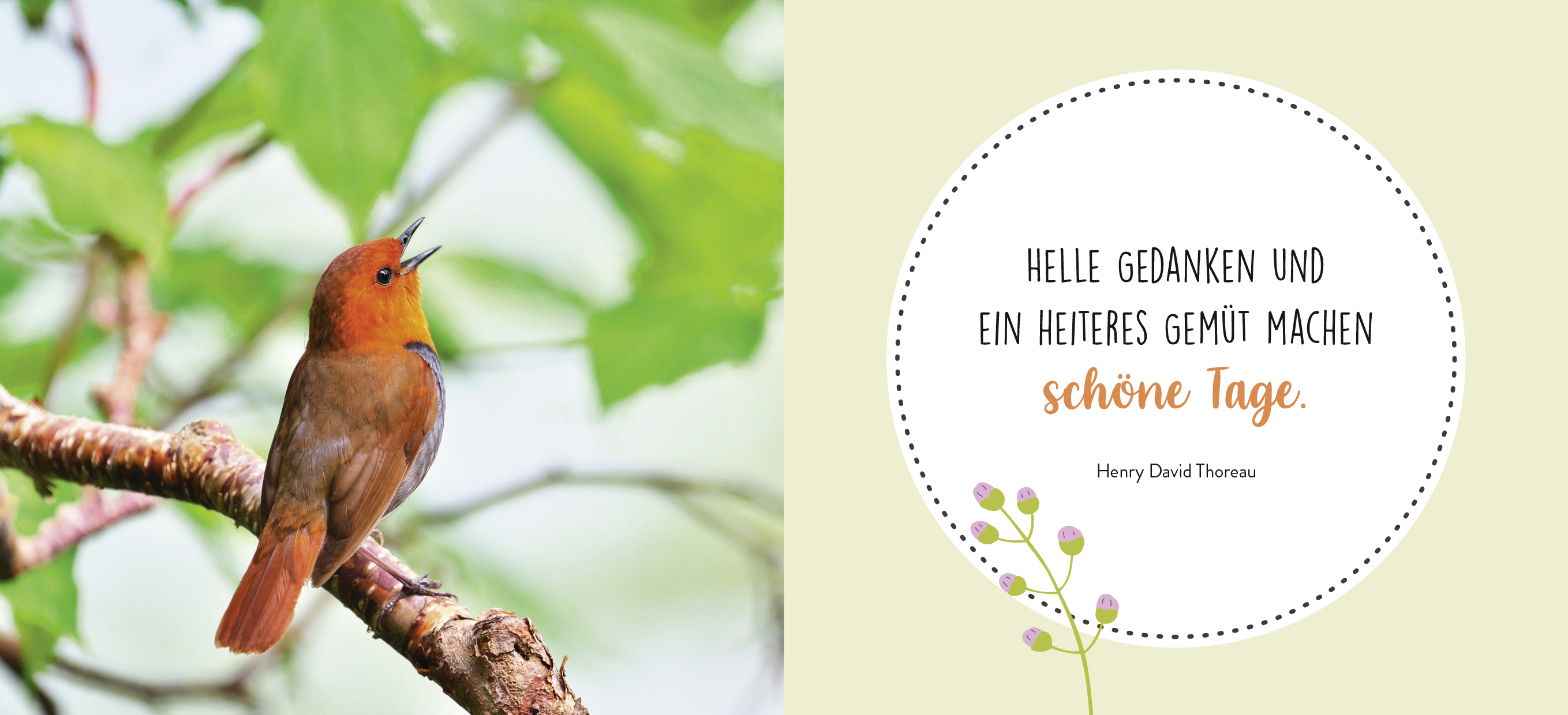 9783848502189_innenansicht_04.jpg