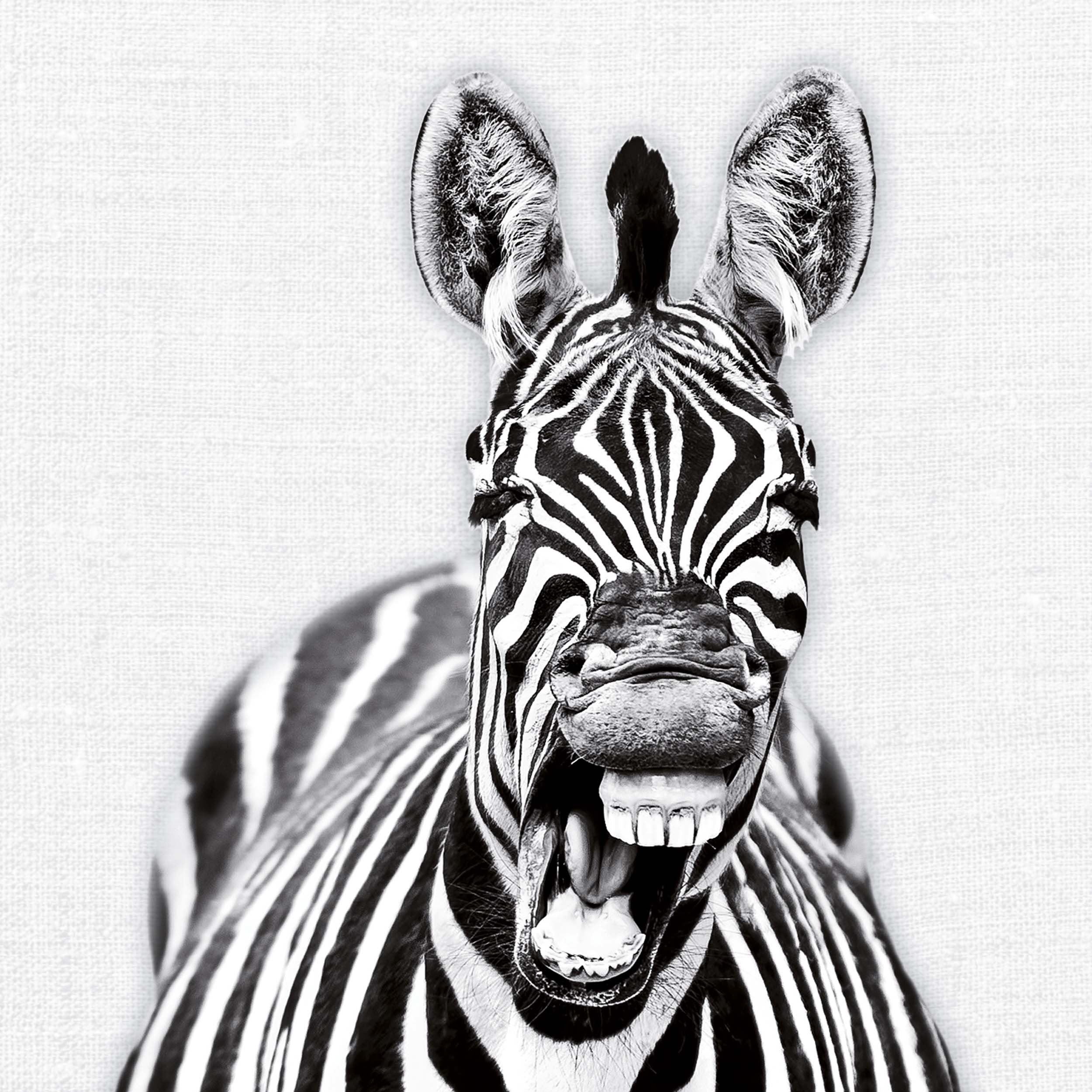 9783959295284_innenansicht_07 9783959295284_innenansicht_07.jpg