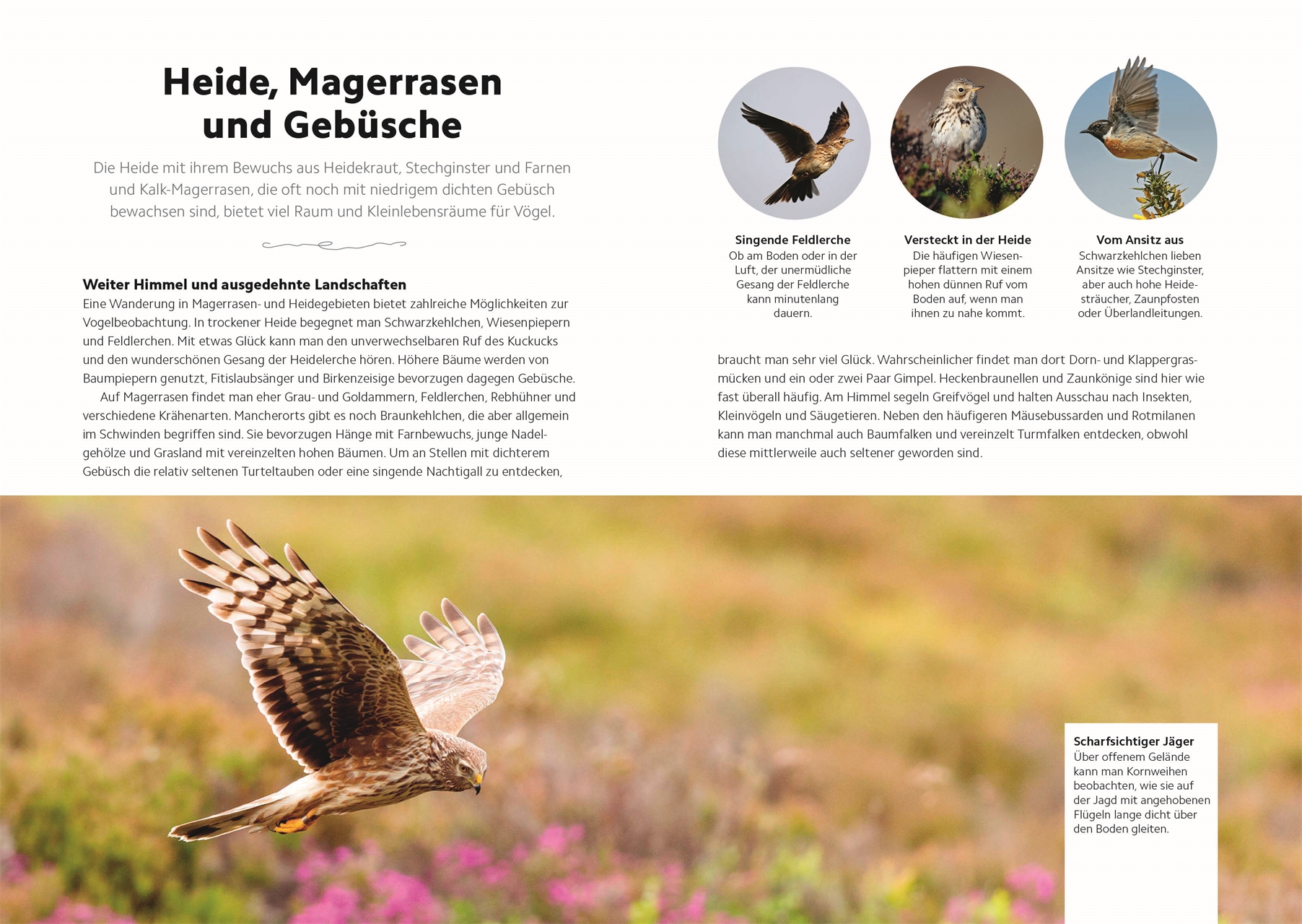 9783831049943_innenansicht_13 9783831049943_innenansicht_13.jpg