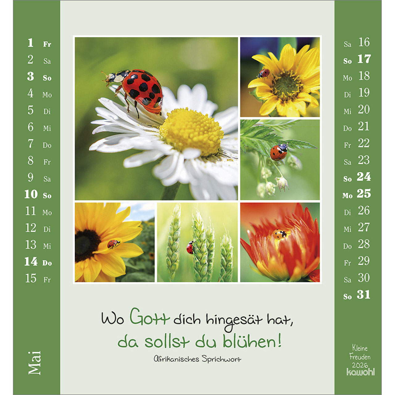 9783754881460_innenansicht_05.jpg