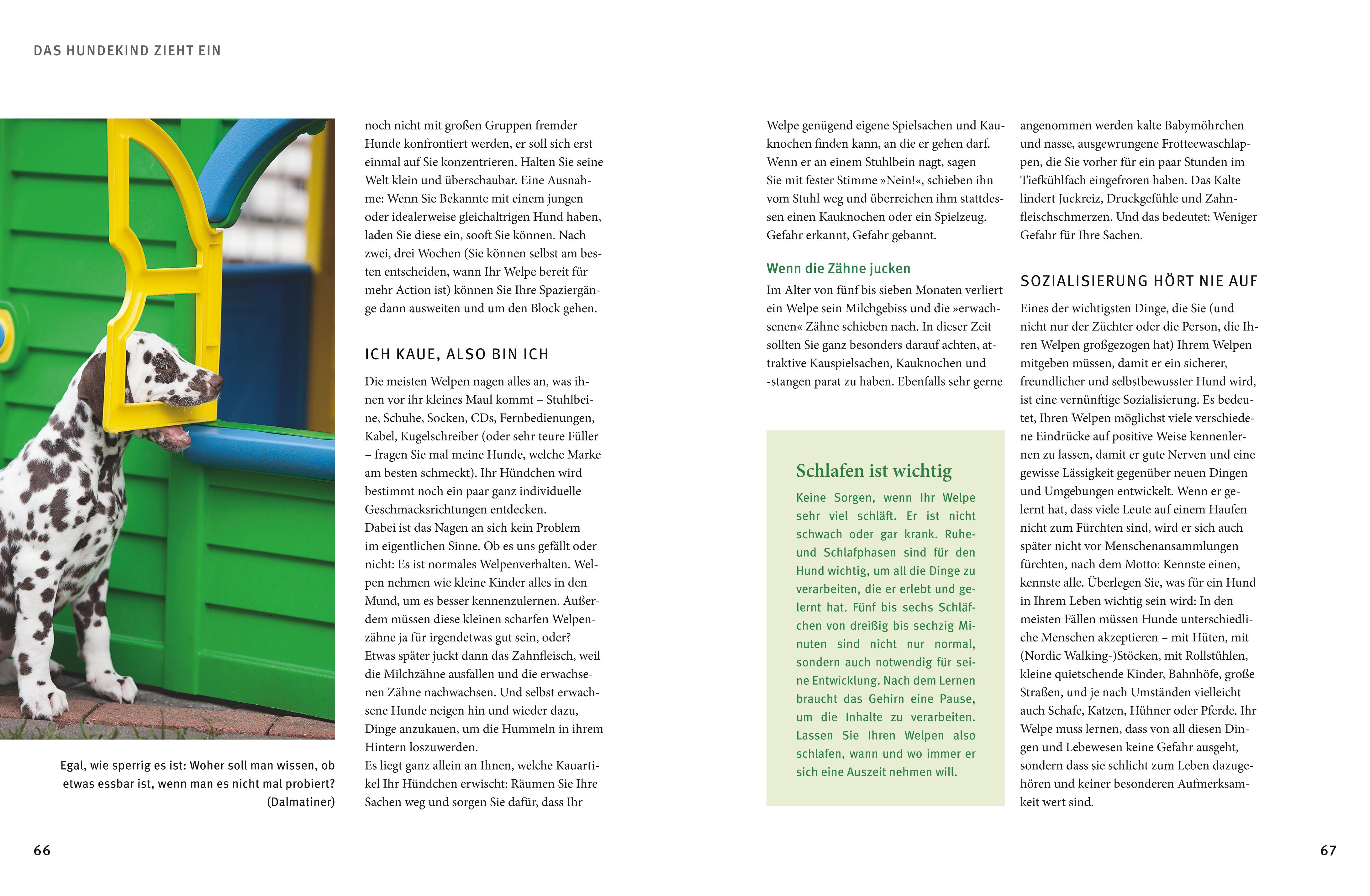 9783833857249_innenansicht_06 9783833857249_innenansicht_06.jpg