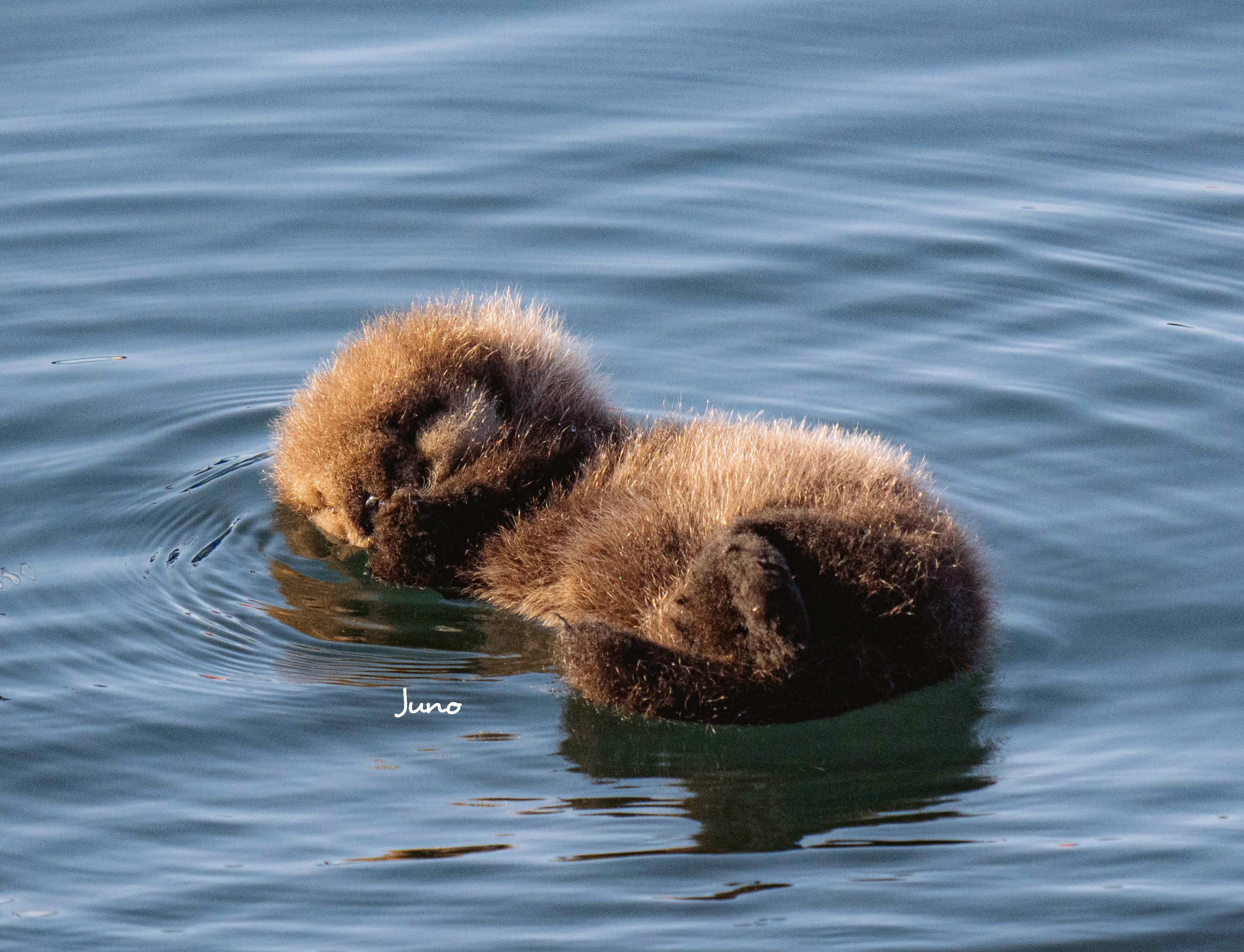 9783966649964_innenansicht_07 9783966649964_innenansicht_07.jpg