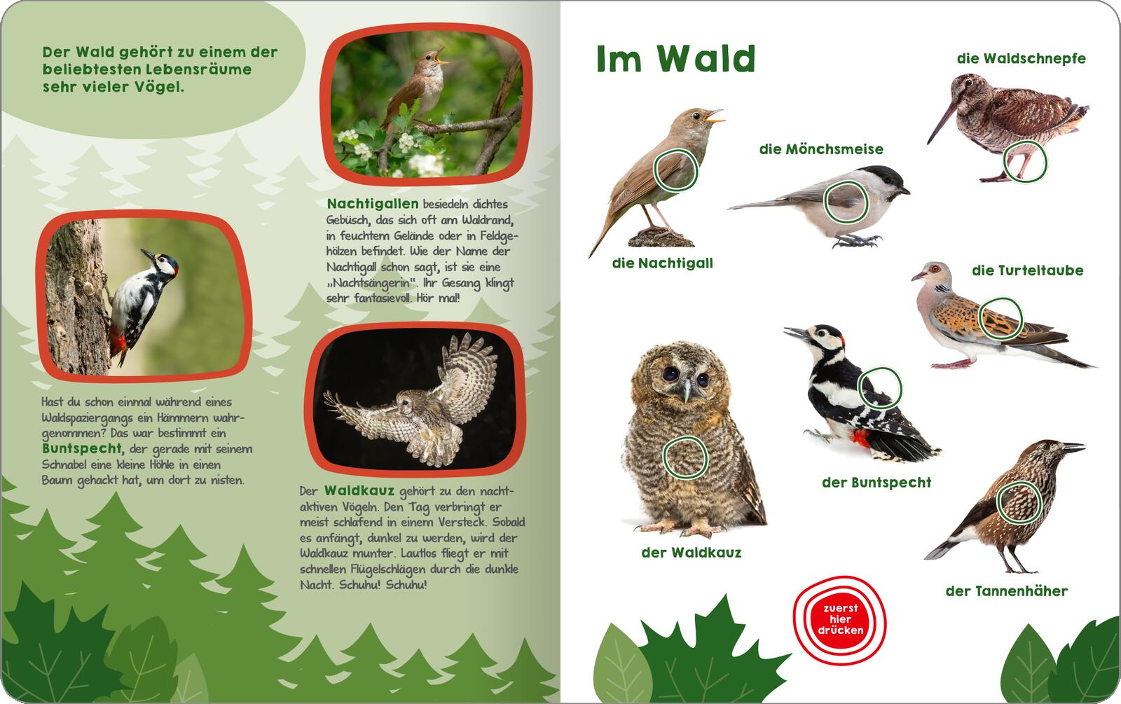 9783845855325_innenansicht_03 9783845855325_innenansicht_03.jpg