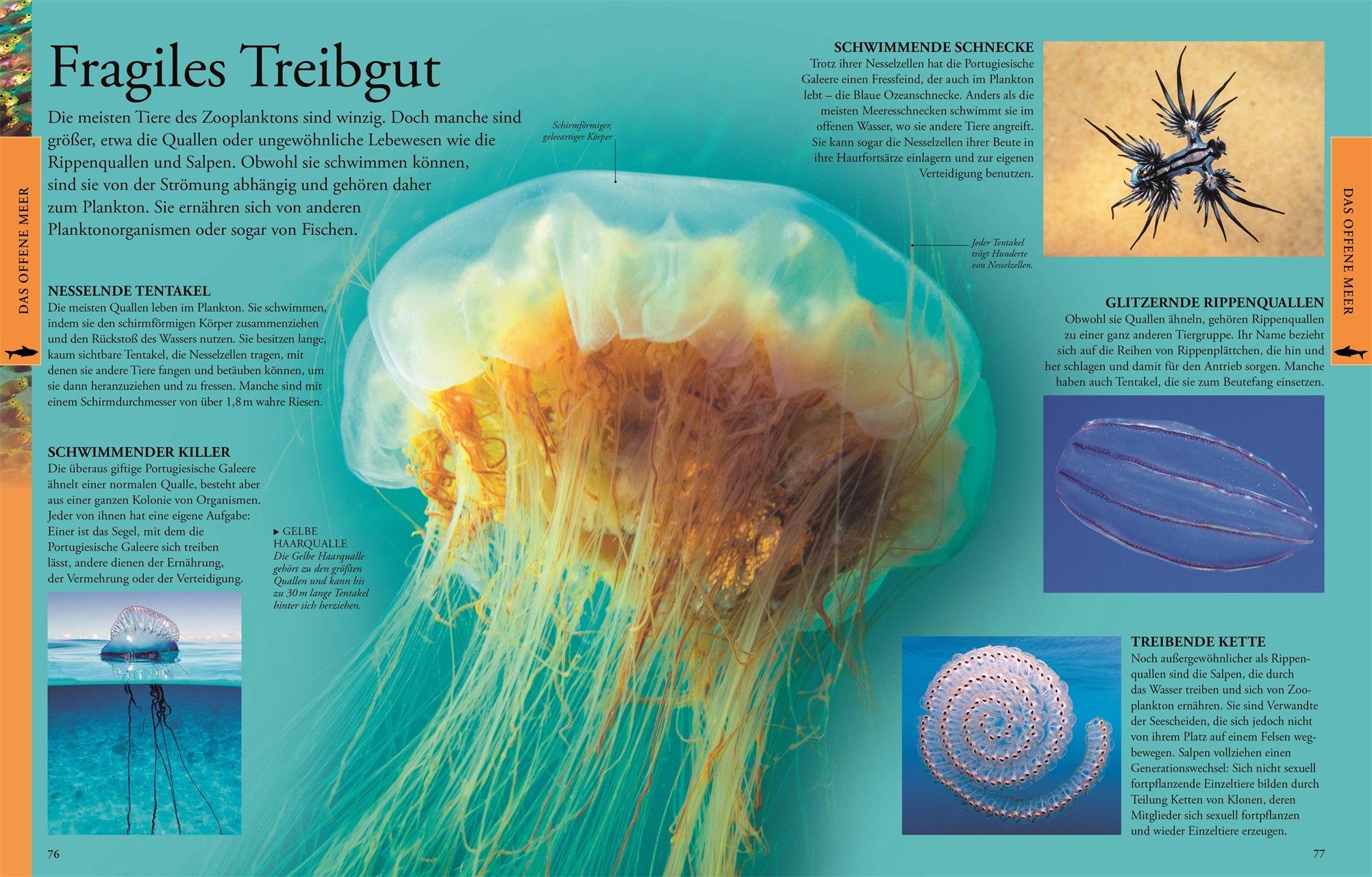 9783831032099_innenansicht_05 9783831032099_innenansicht_05.jpg