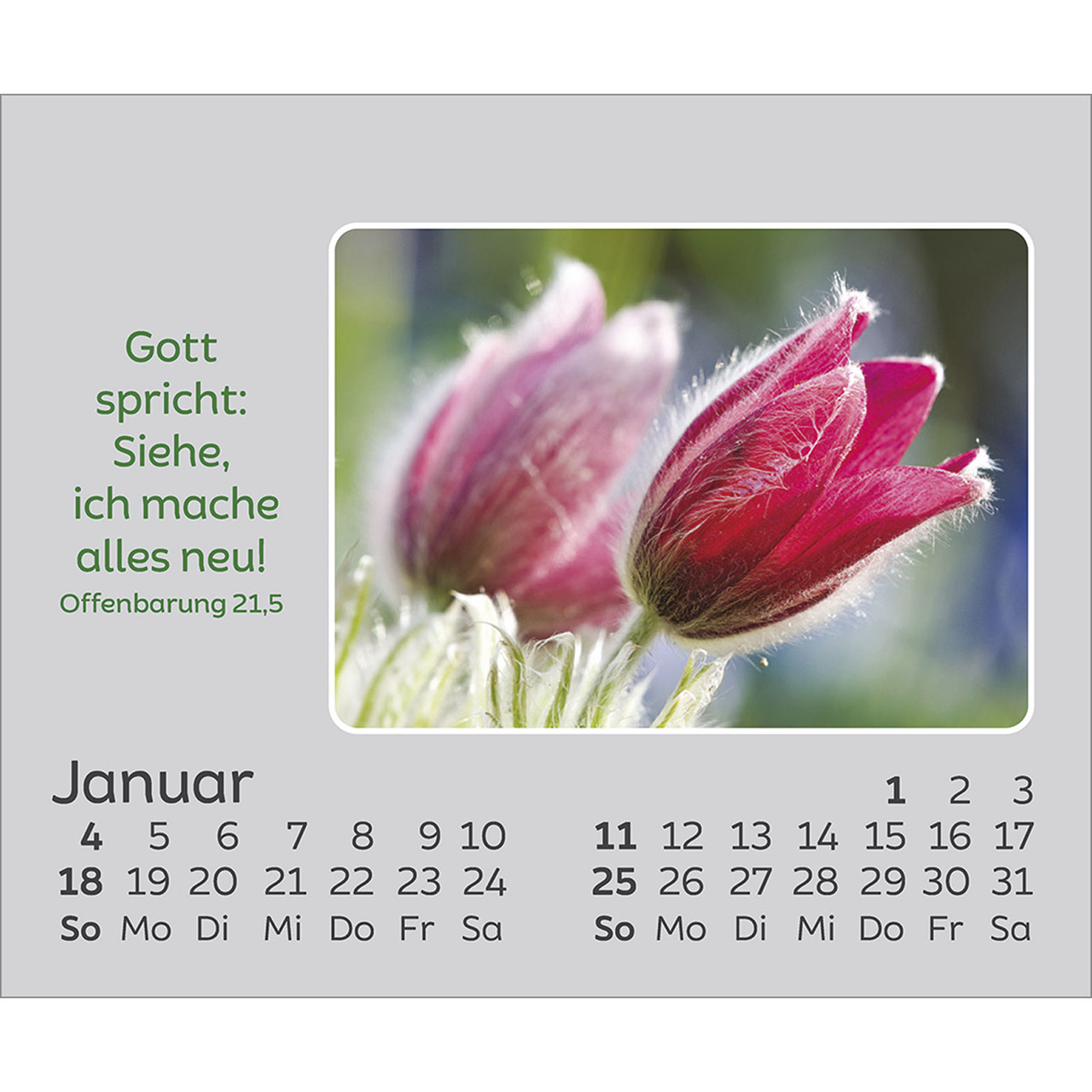 9783754861066_innenansicht_01.jpg