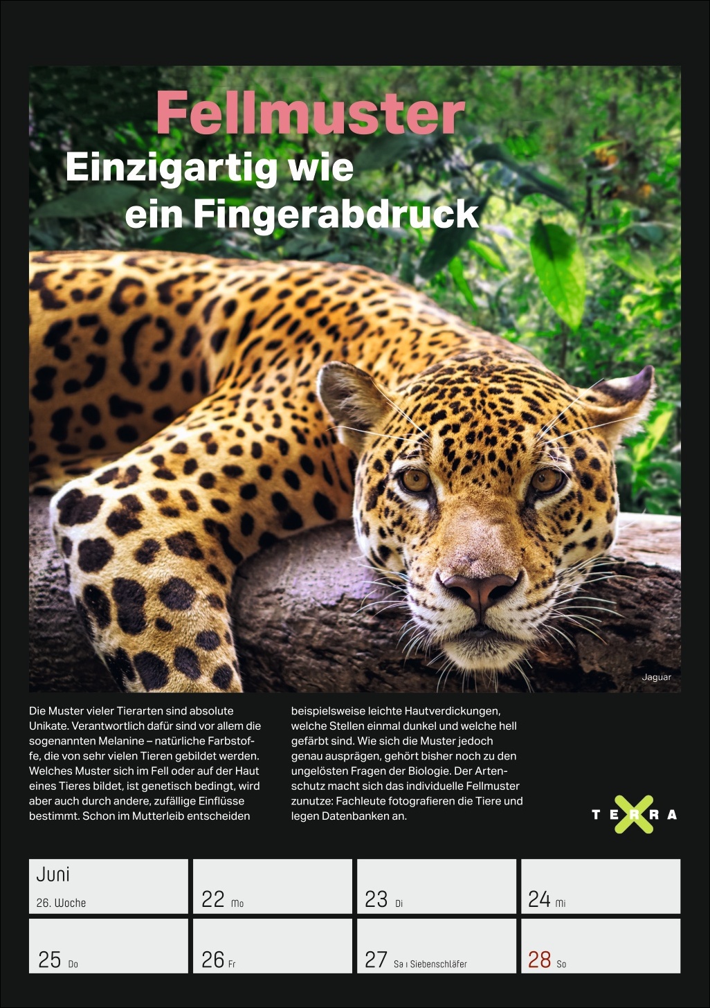 9783840037993_innenansicht_04.jpg