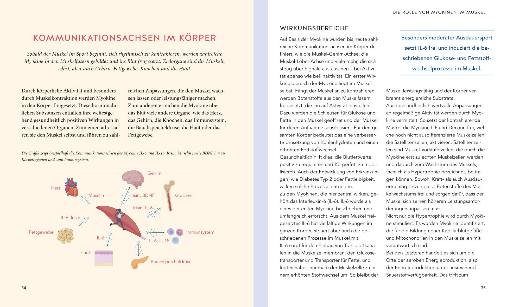 9783833885501_innenansicht_03 9783833885501_innenansicht_03.jpg