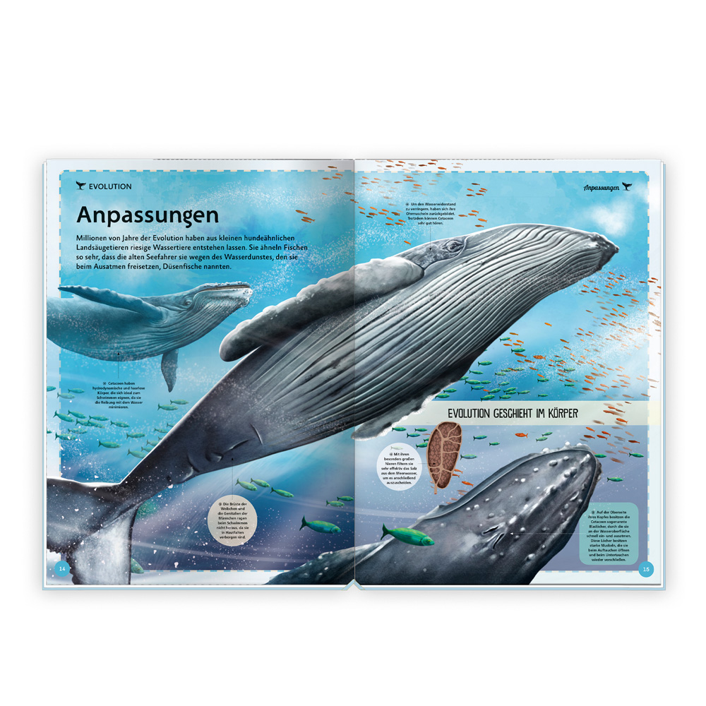 9783988023452_innenansicht_02 9783988023452_innenansicht_02.jpg