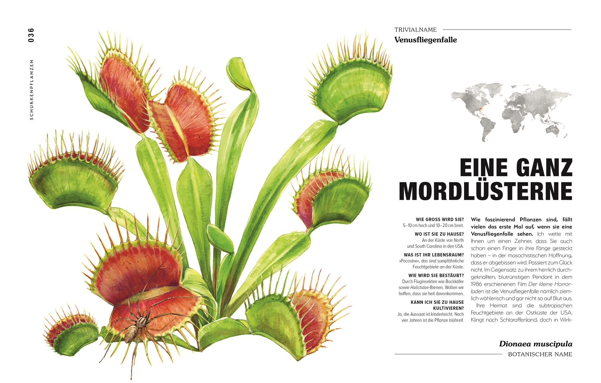 9783831047406_innenansicht_03 9783831047406_innenansicht_03.jpg