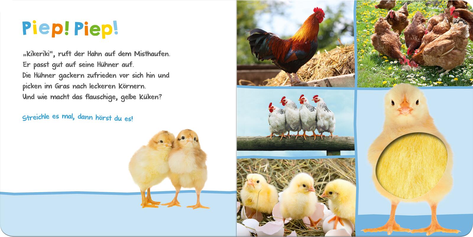 9783845811895_innenansicht_01.jpg