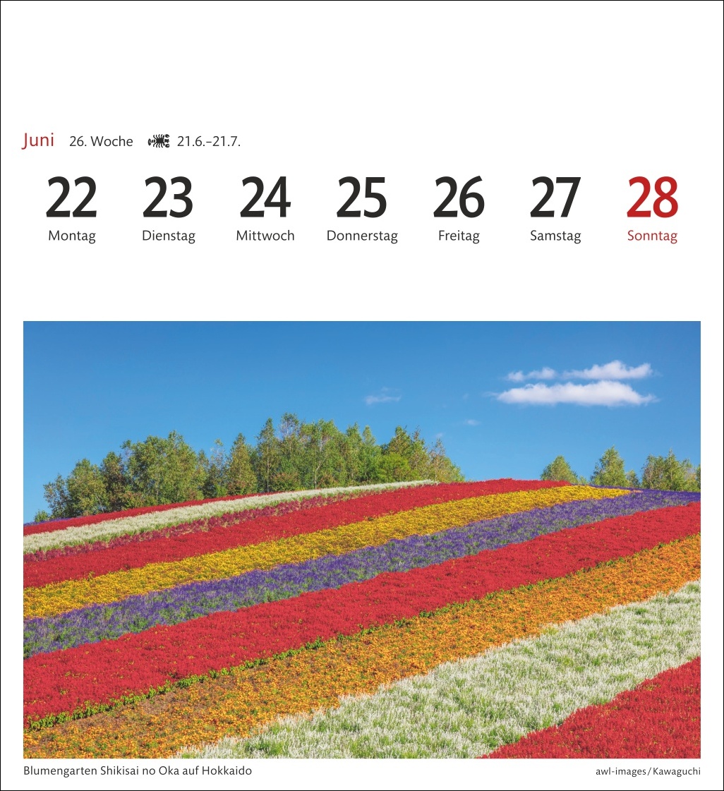 9783840036743_innenansicht_07.jpg