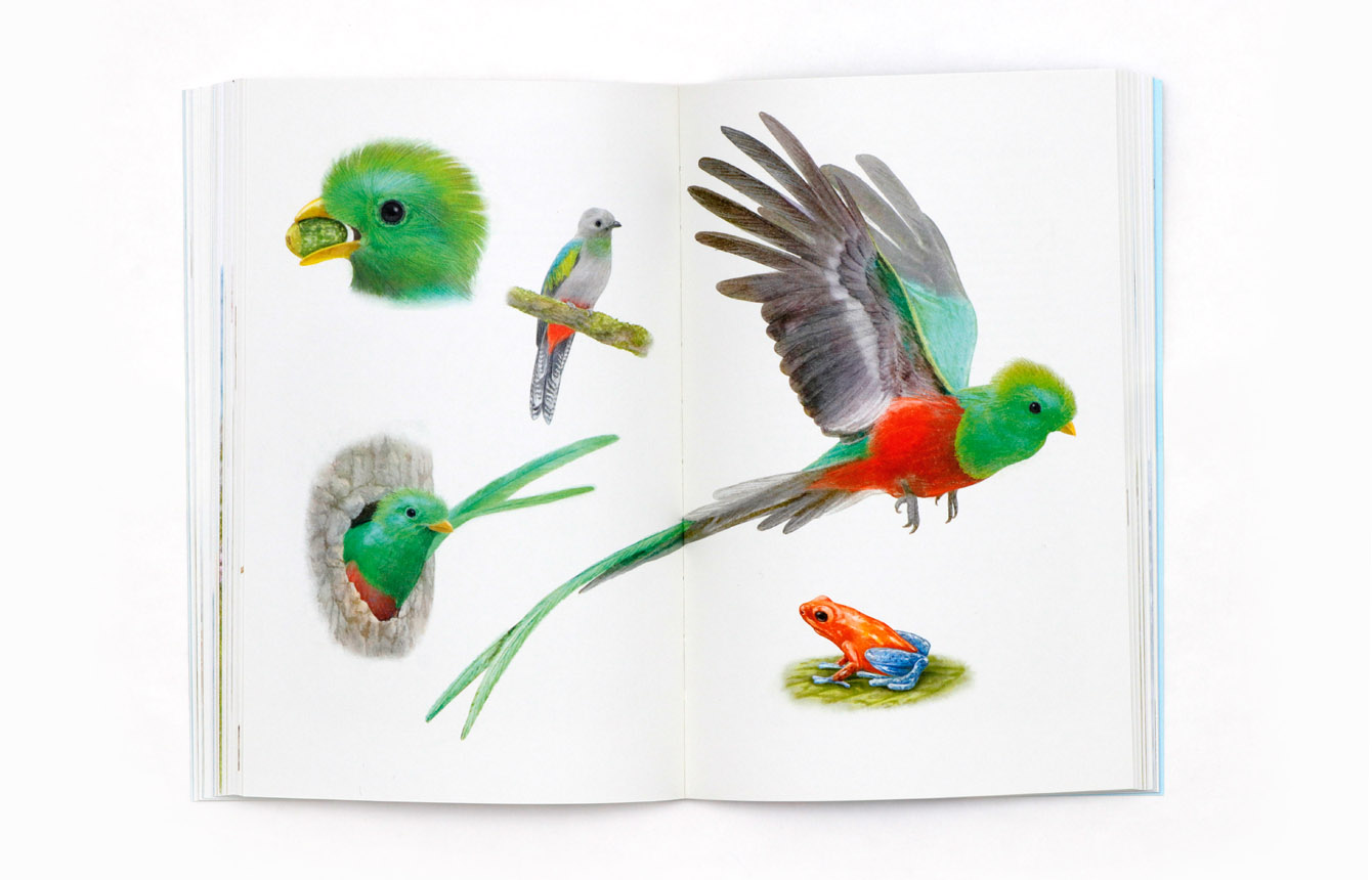 9783962443474_produktbild_06 9783962443474_produktbild_06.jpg