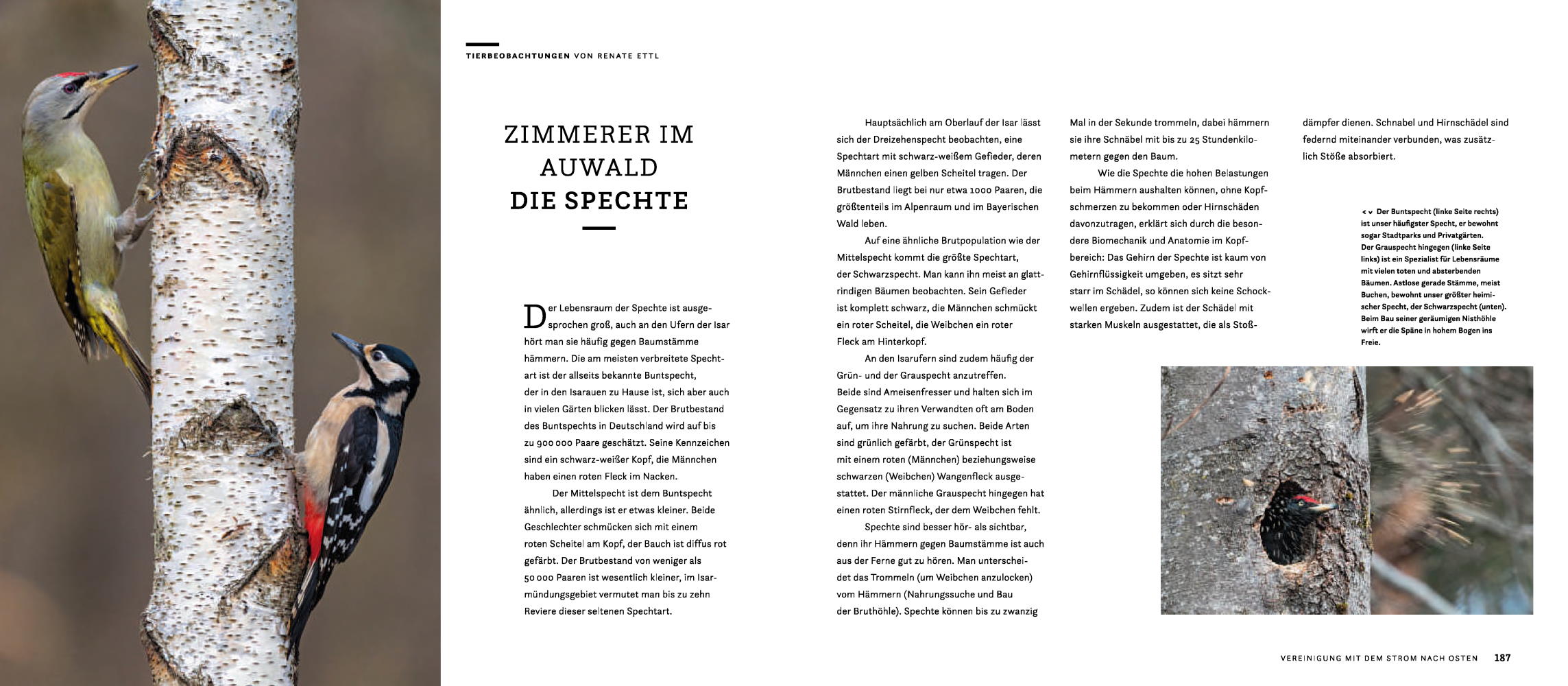 9783957284457_innenansicht_10 9783957284457_innenansicht_10.jpg