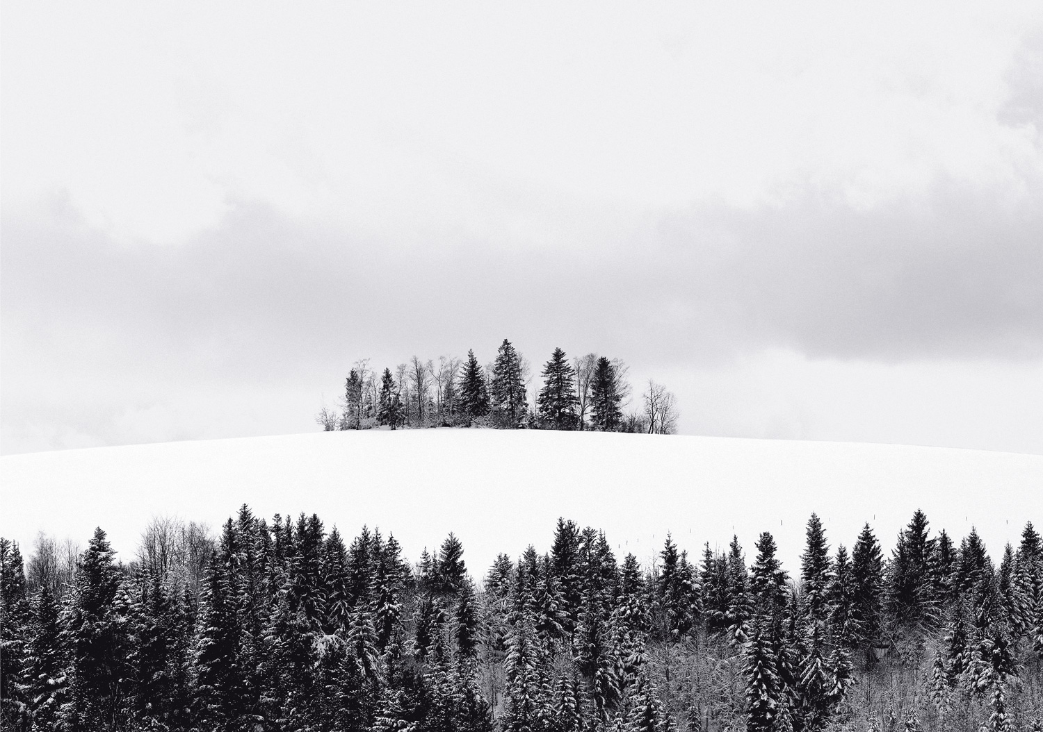 9783949070310_innenansicht_01 9783949070310_innenansicht_01.jpg