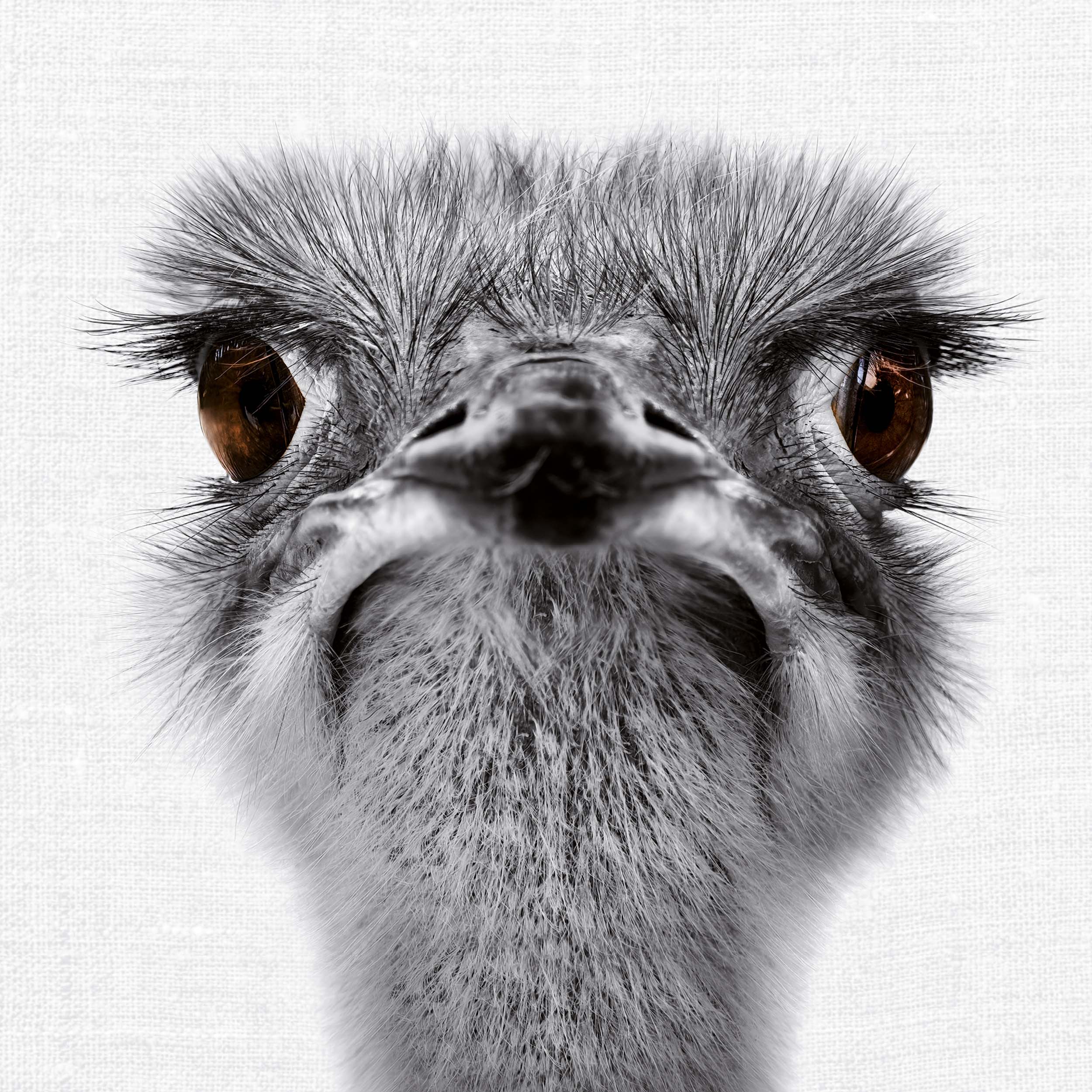 9783959295284_innenansicht_10 9783959295284_innenansicht_10.jpg