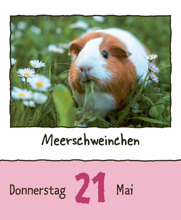 9783731889182_innenansicht_07.jpg